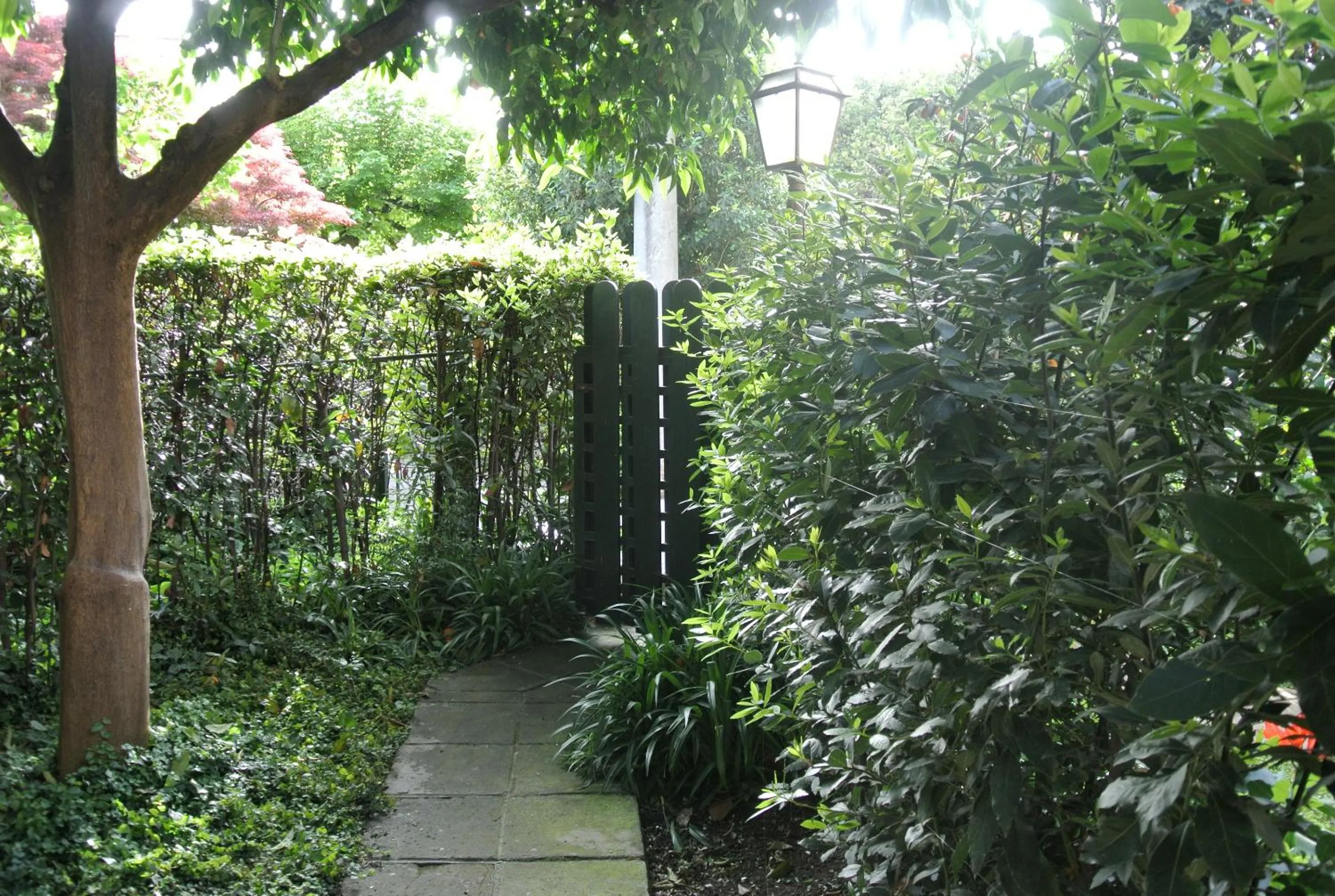 Garden in Appartamento Garden Palatino