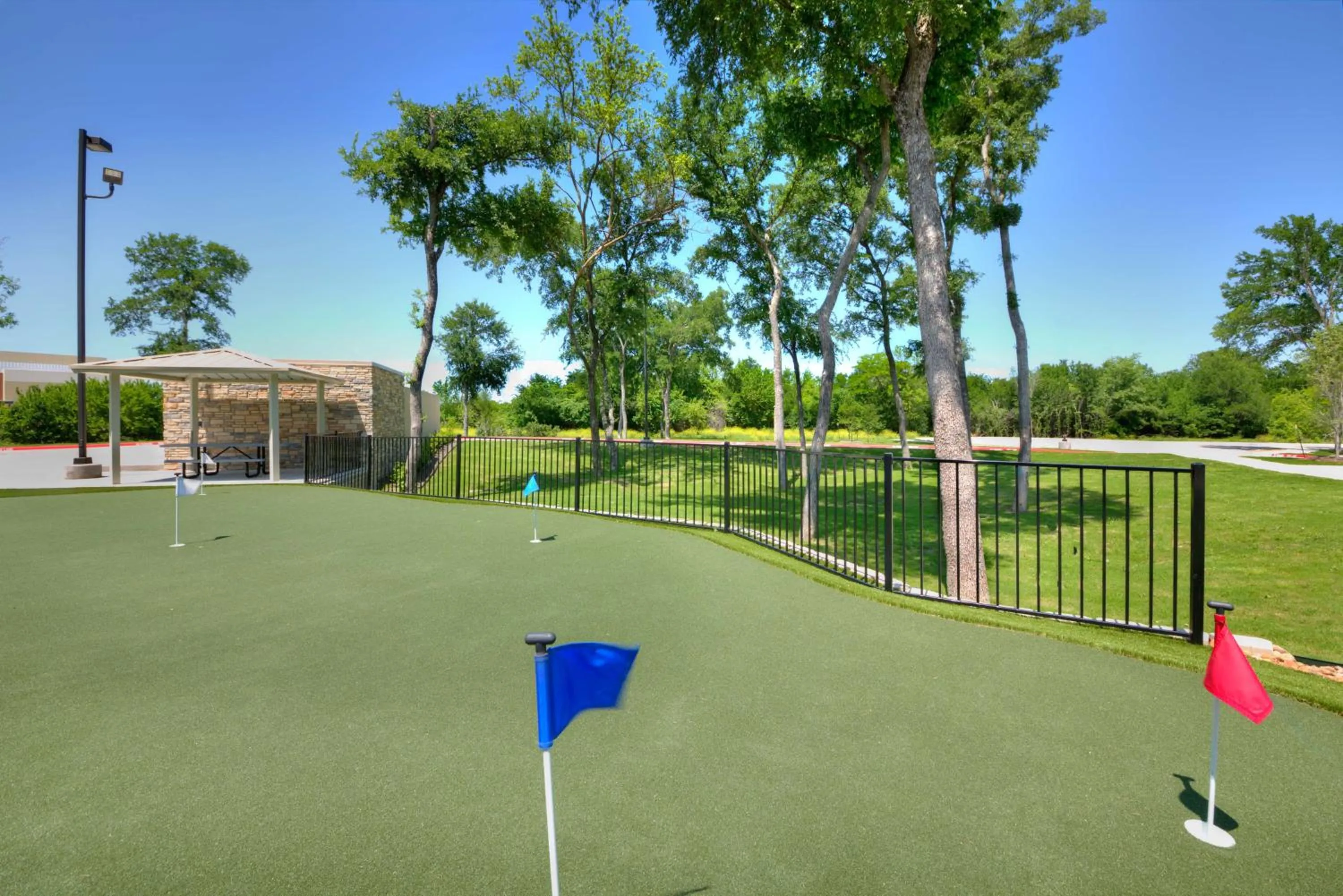 Sports in Hampton Inn & Suites Dallas/Plano-East