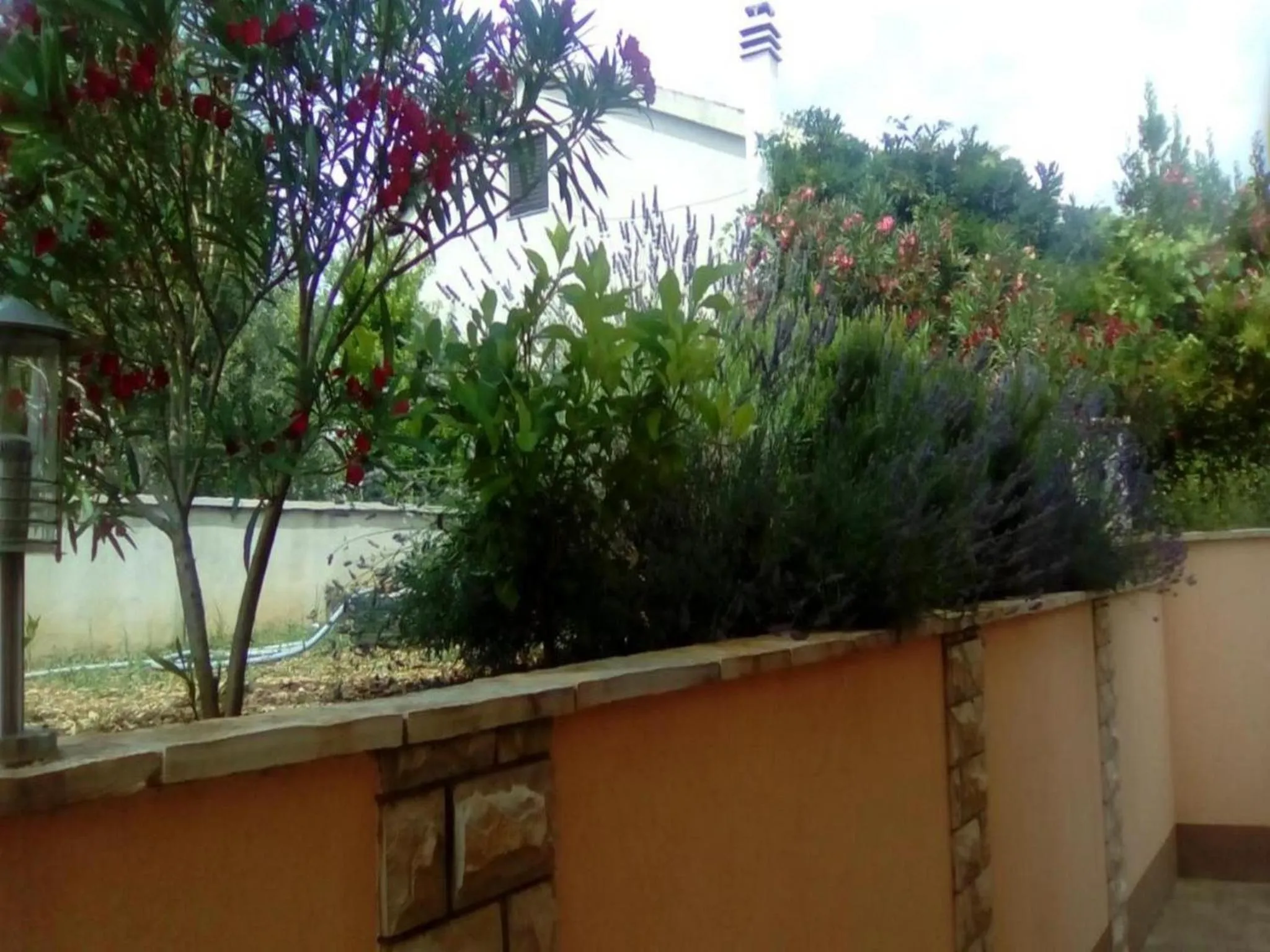 Garden in Apartments Vala