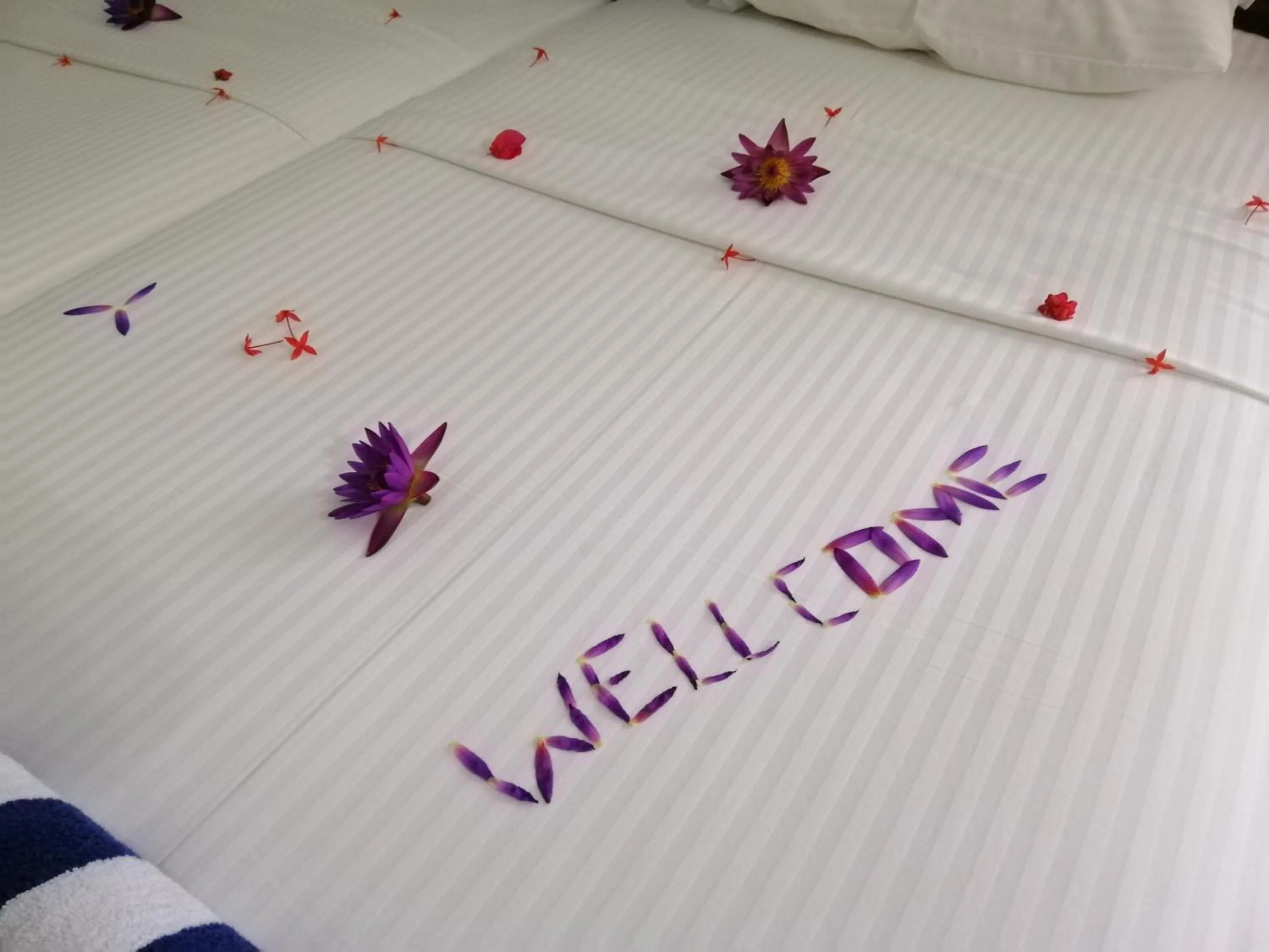 Bed in Methira Villa