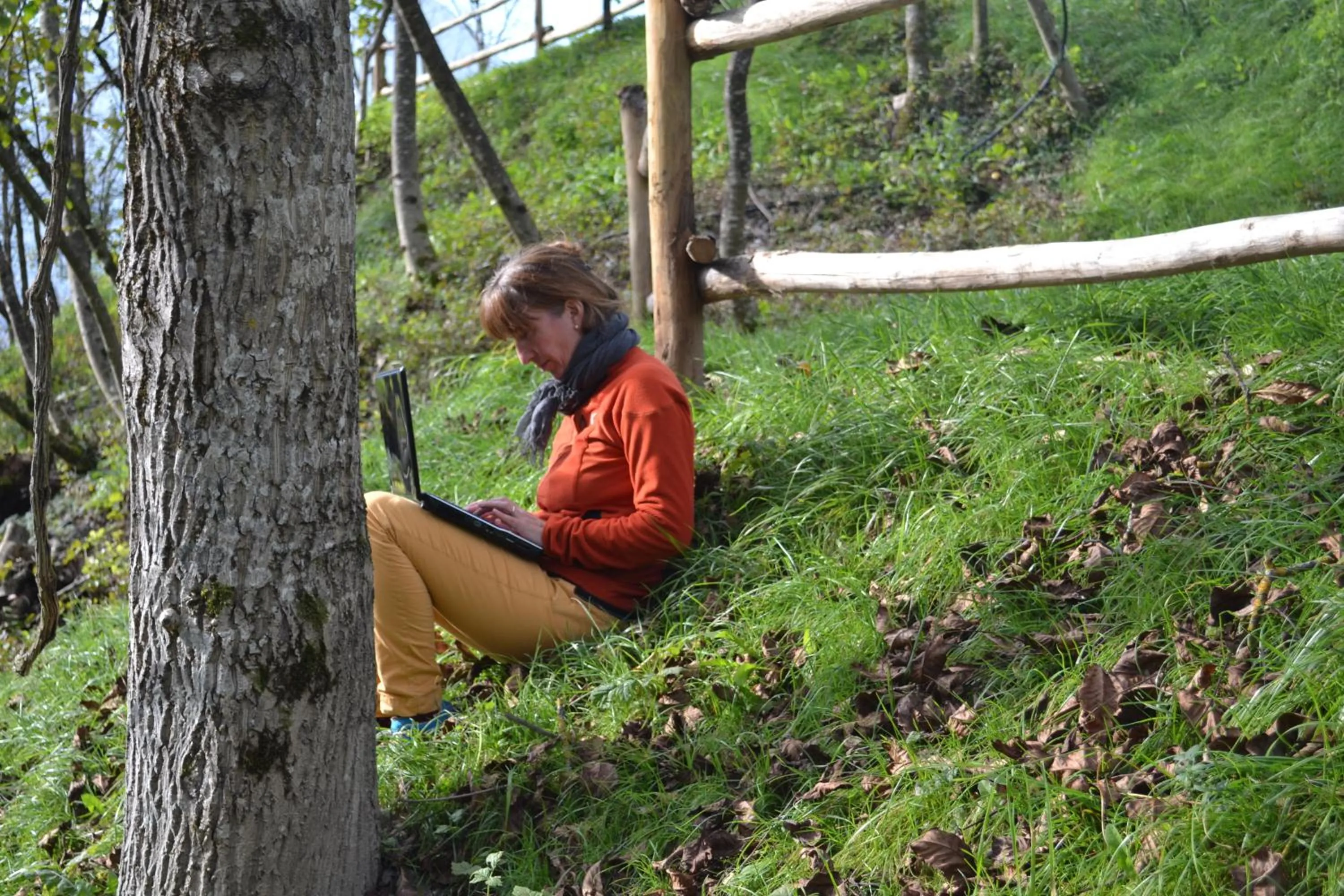TV and multimedia in Casariga