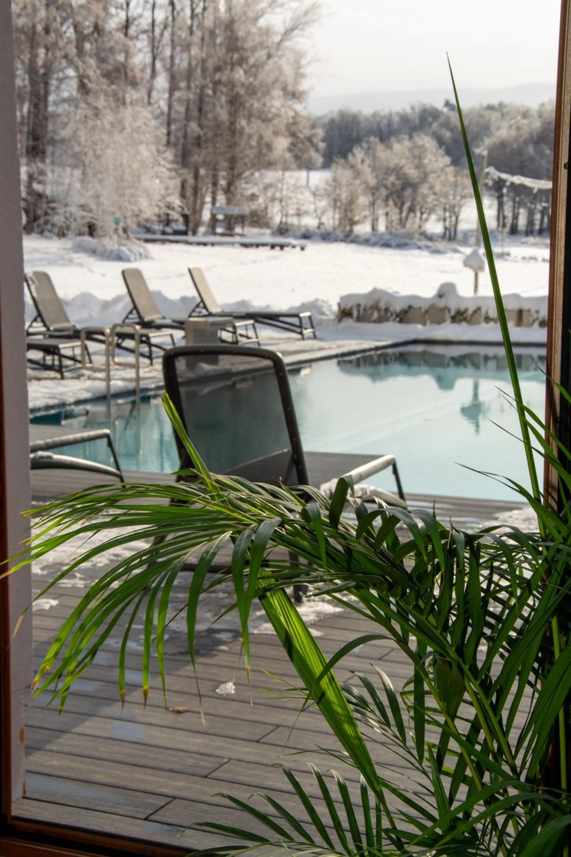 Day in Aspen Prime Ski & Bike Resort - basen, sauna, jacuzzi, siłownia w cenie pobytu