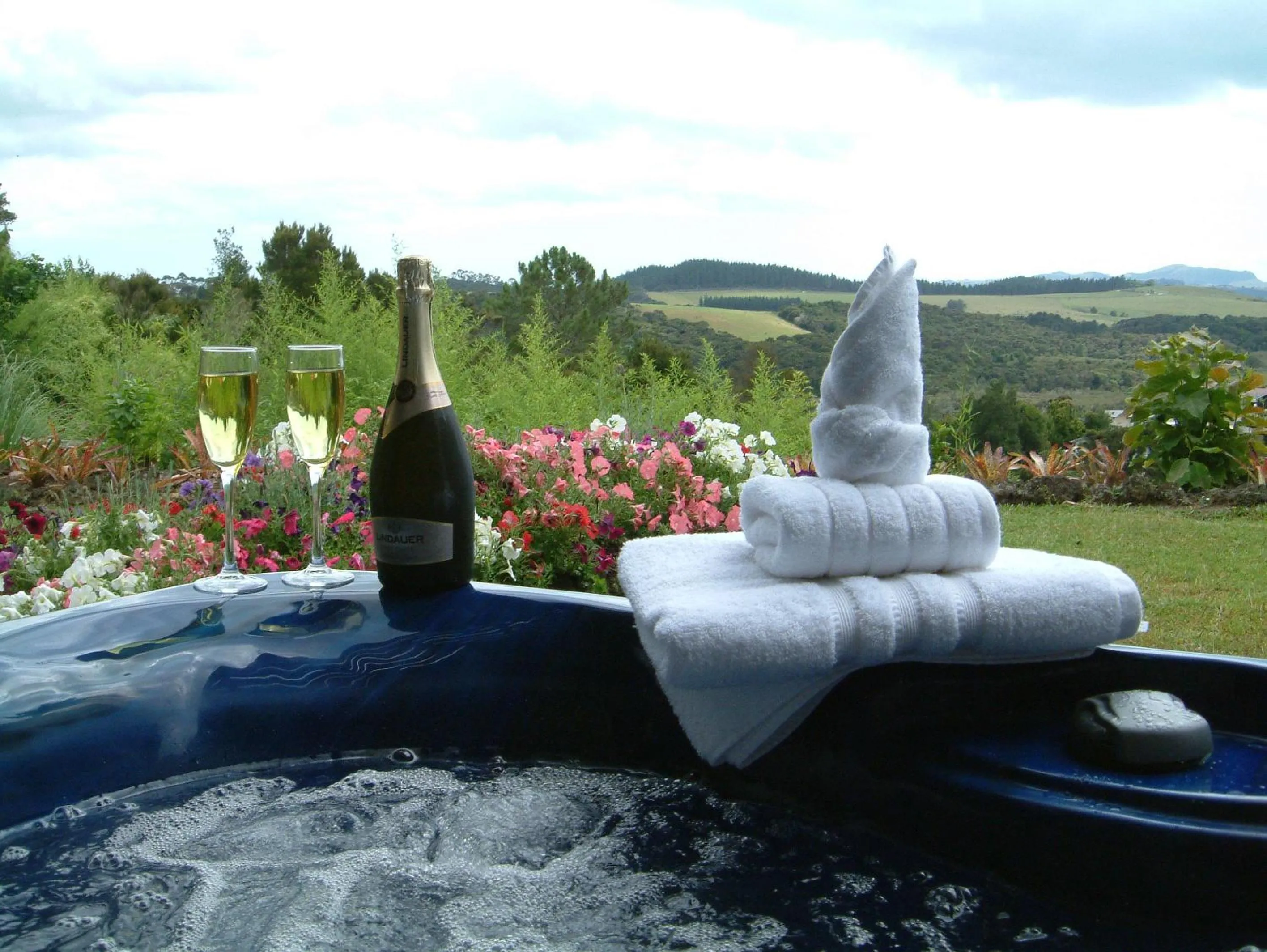 Garden in Baywaterviews