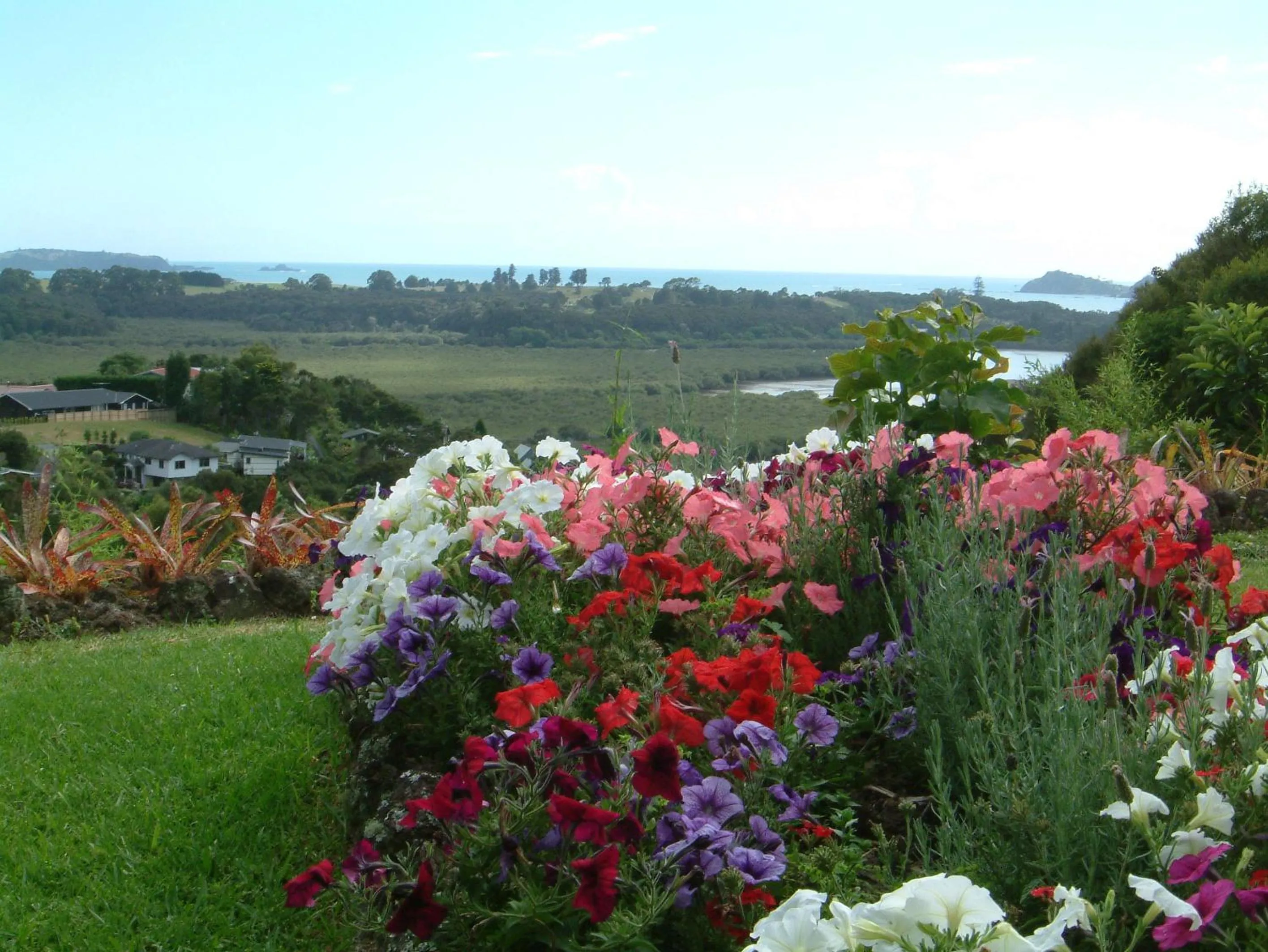 Garden in Baywaterviews