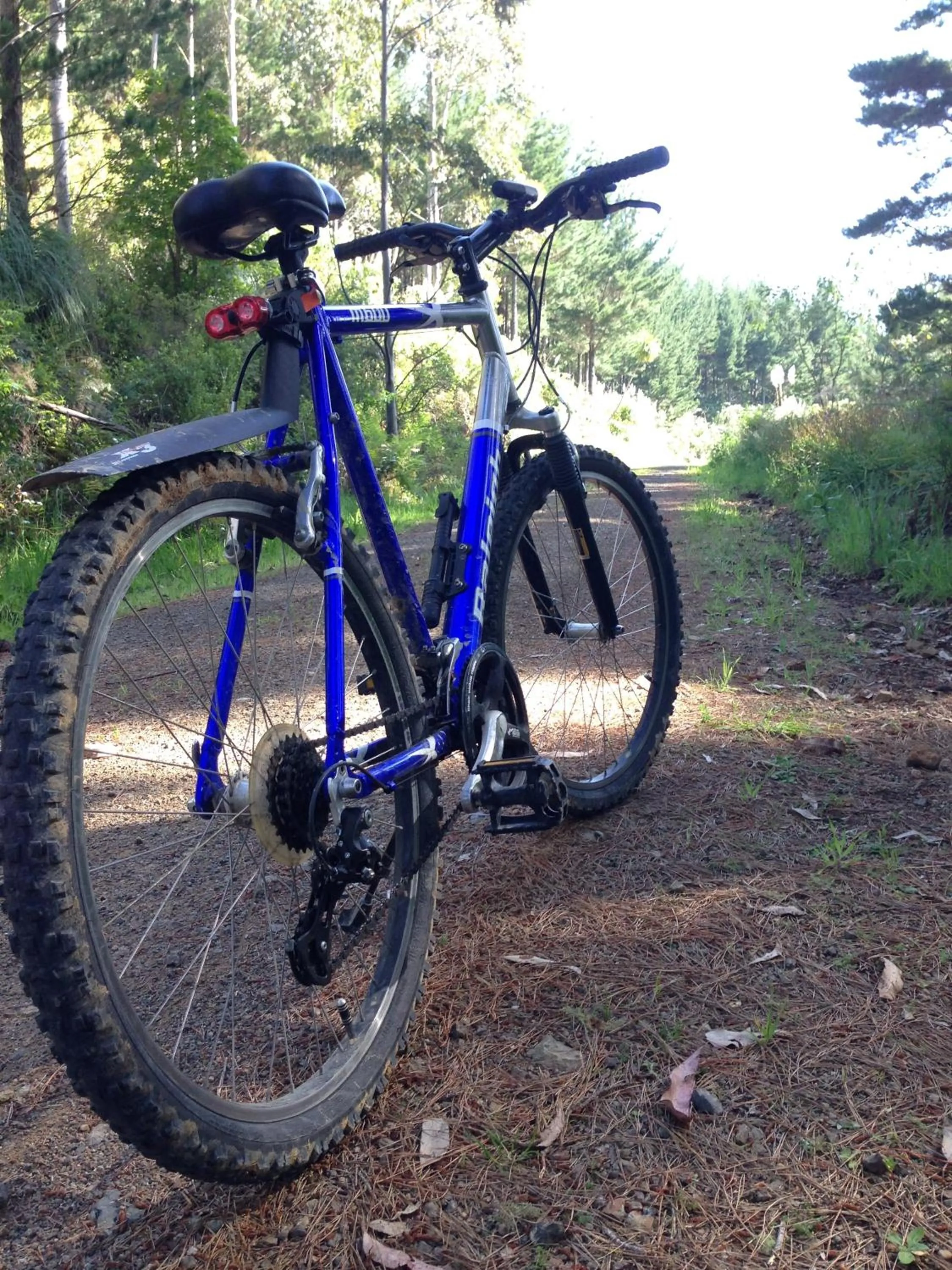 Off site in Baywaterviews