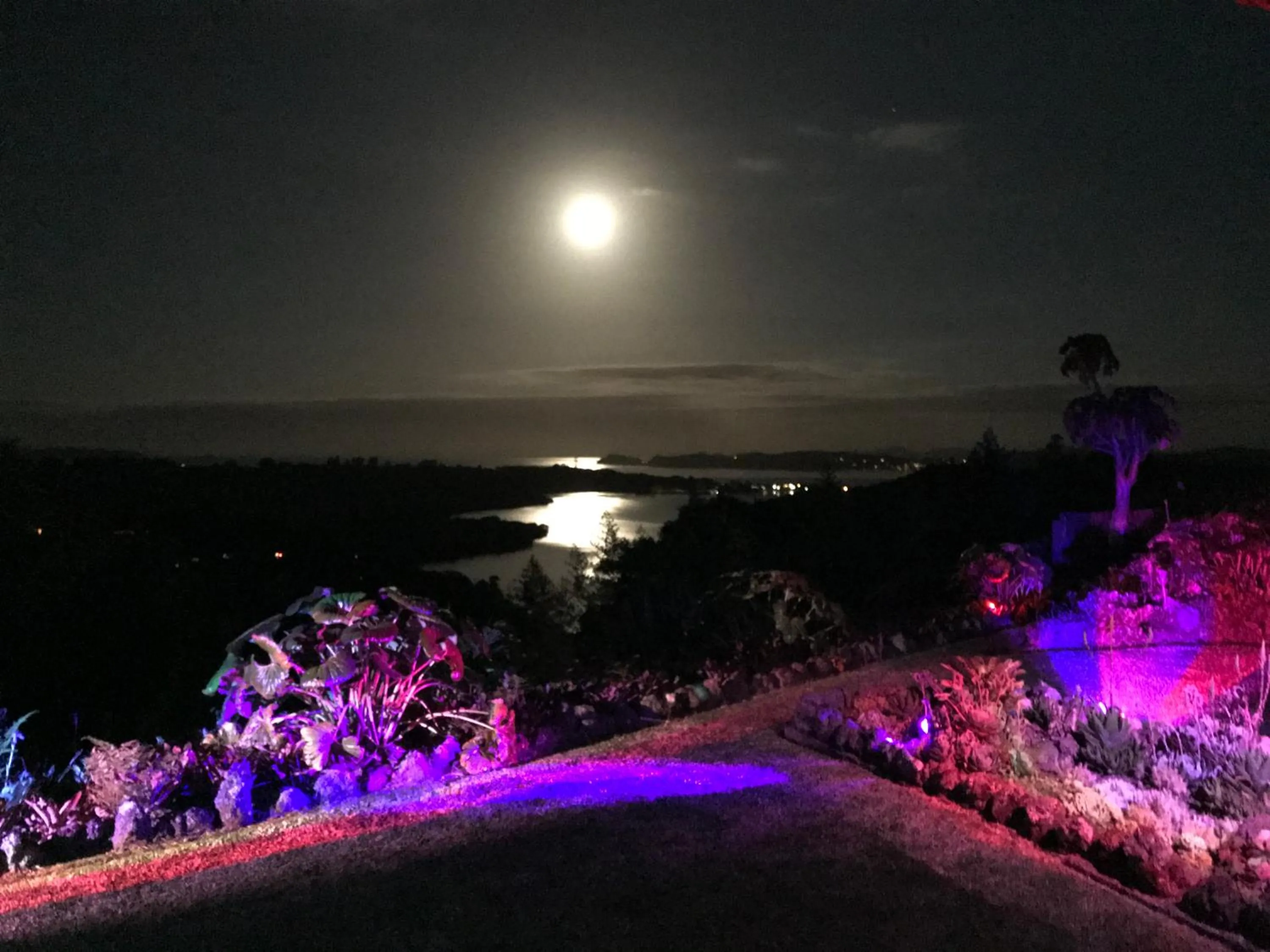 Sea view in Baywaterviews