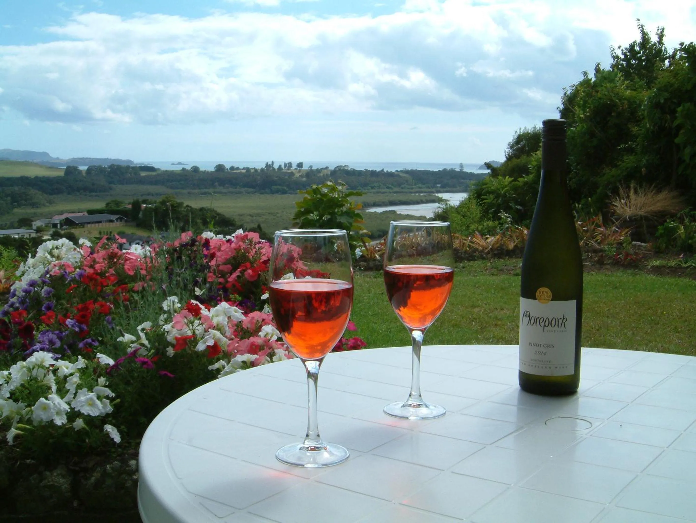 Garden in Baywaterviews