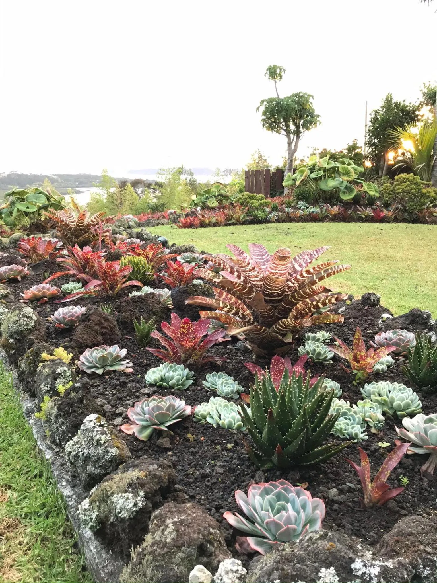 Garden view in Baywaterviews