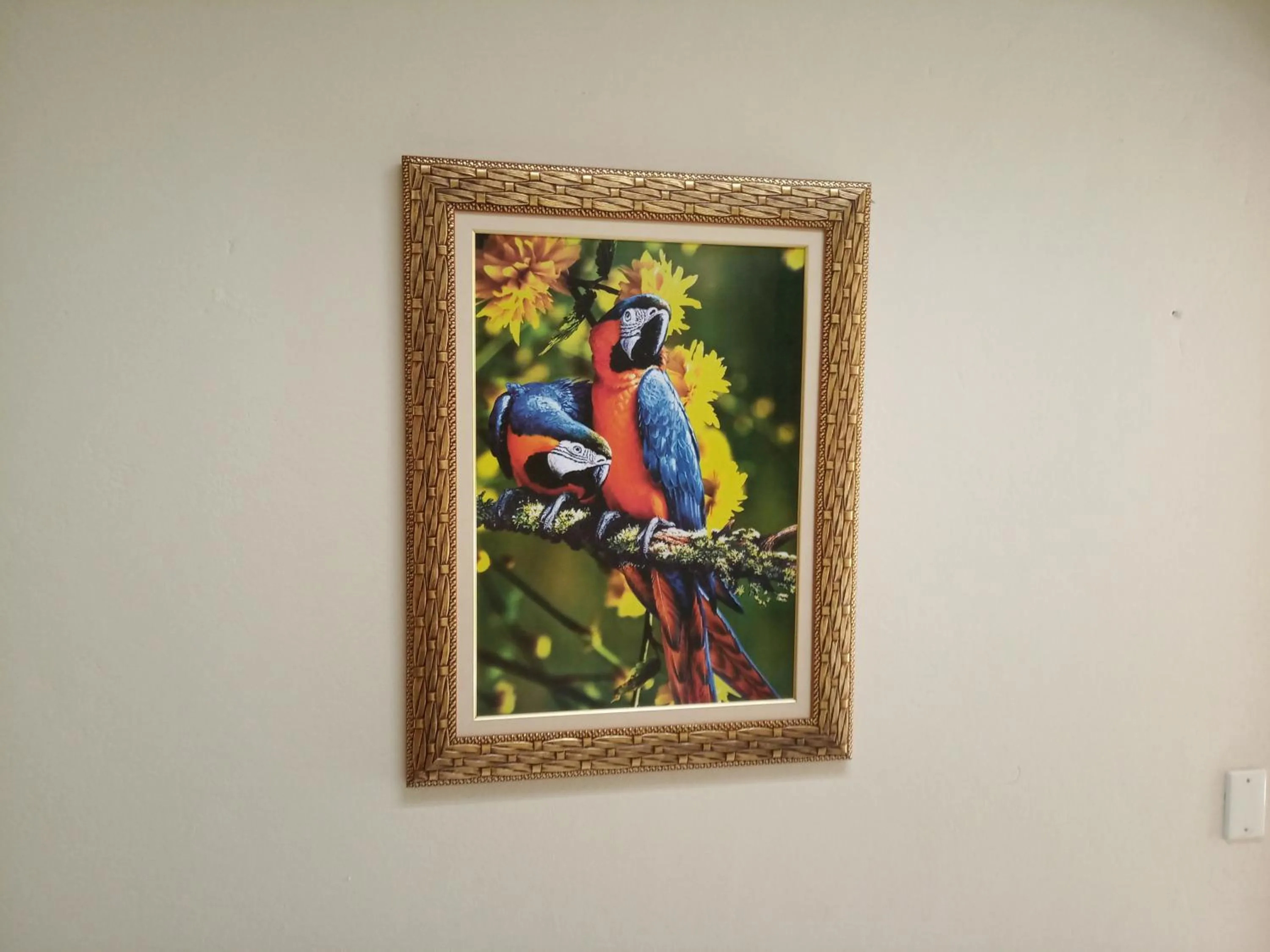 Decorative detail in VELINN Pousada Praia do Perequê