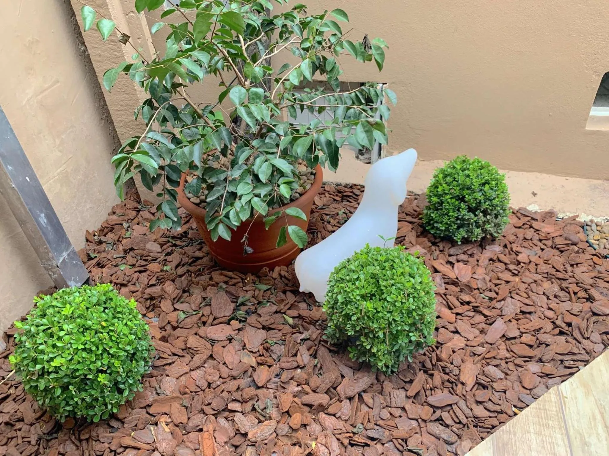 Garden in VELINN Pousada Praia do Perequê