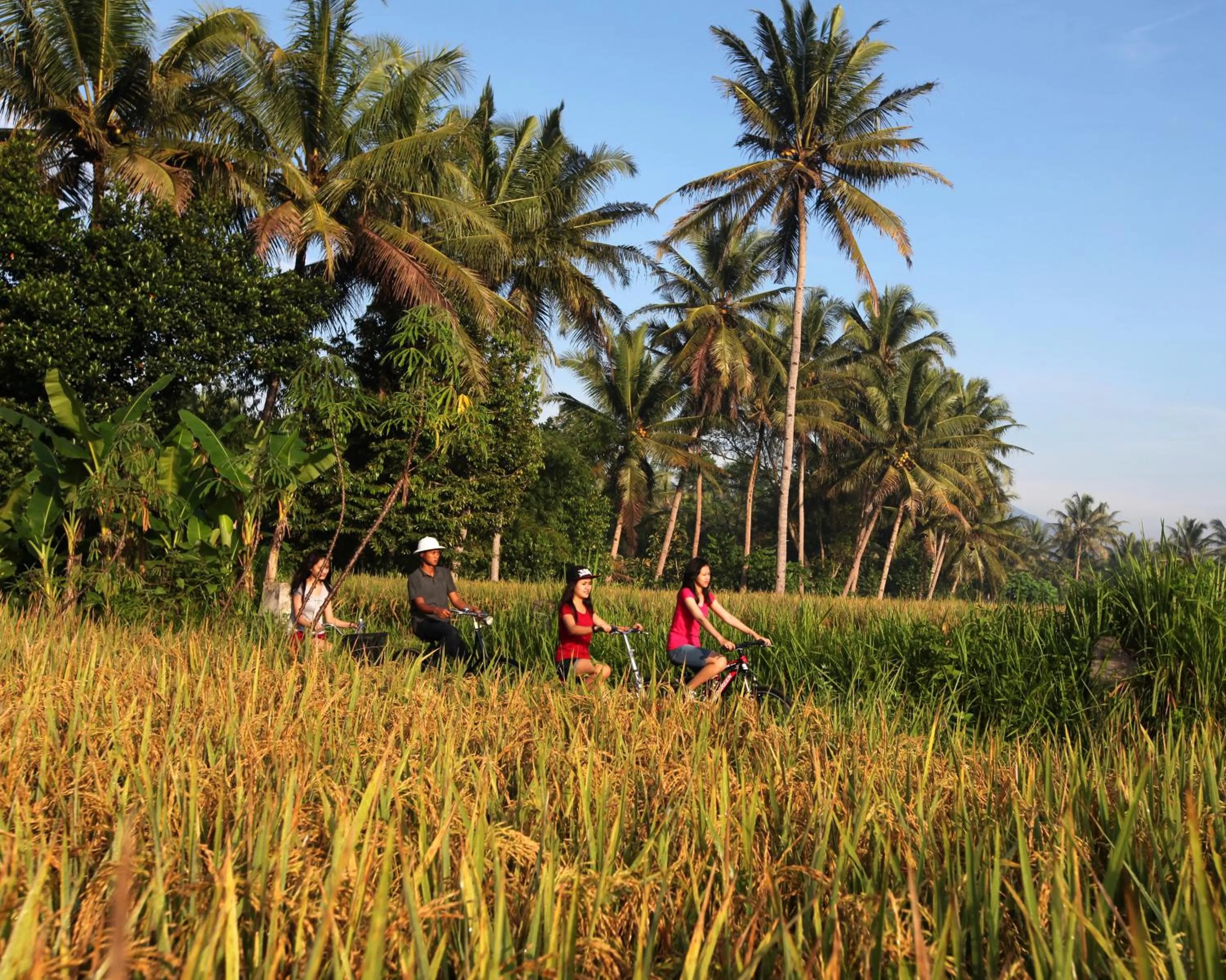 Cycling in Amata Borobudur Resort