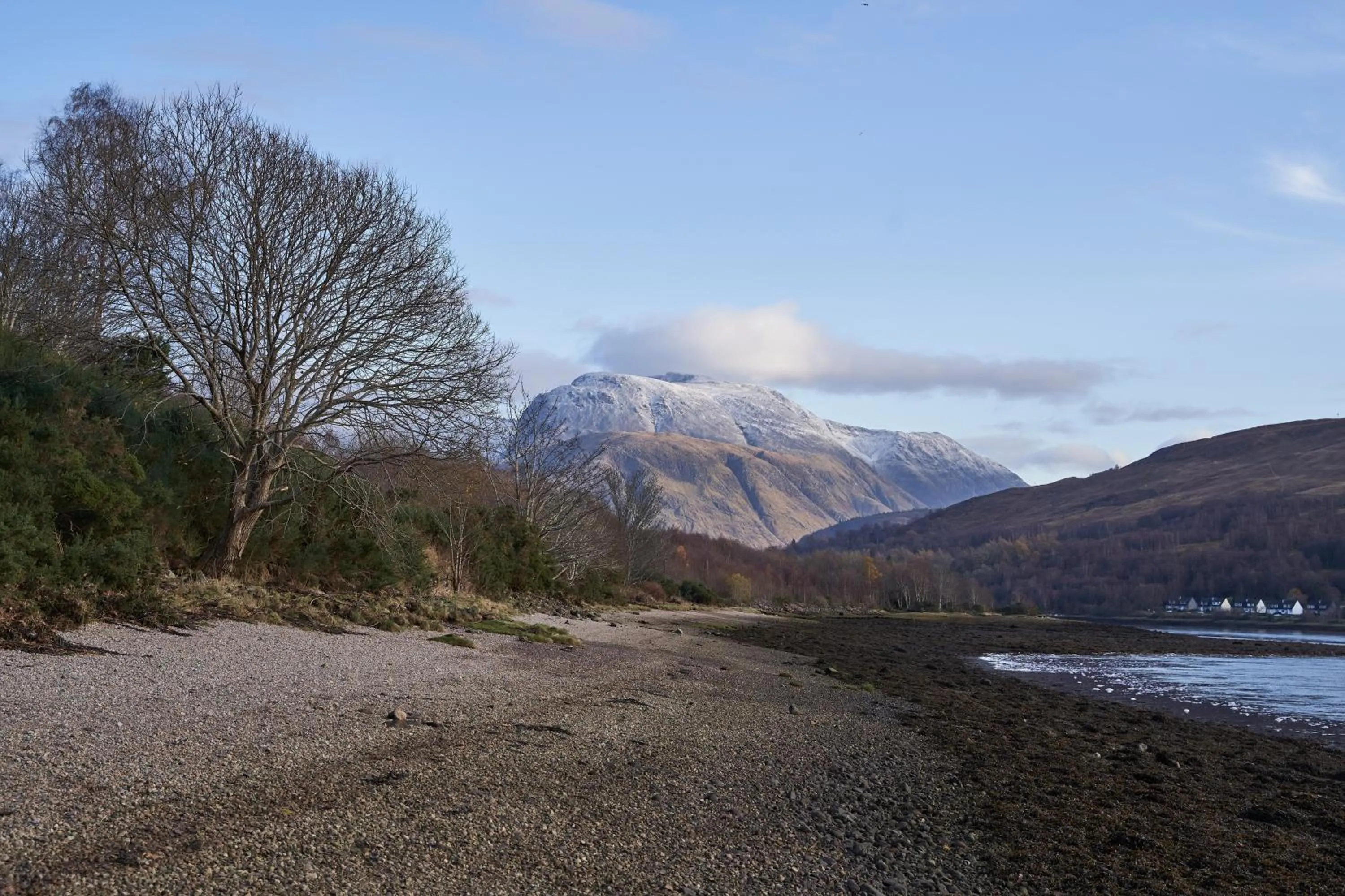 Beach in Linnhe Lochside Holidays