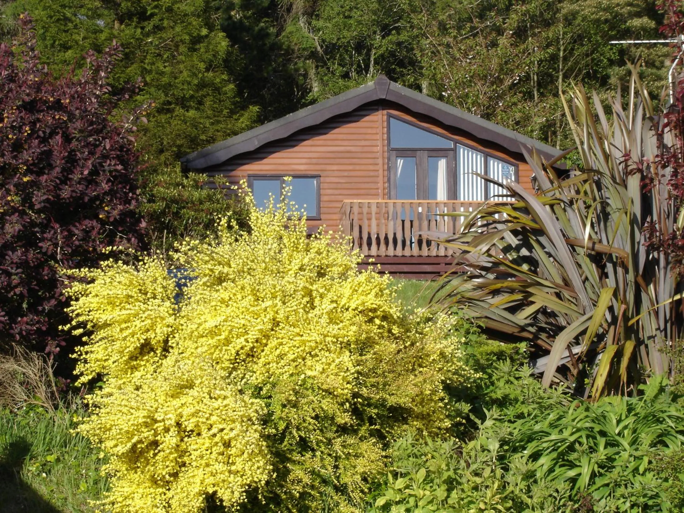 Patio in Linnhe Lochside Holidays