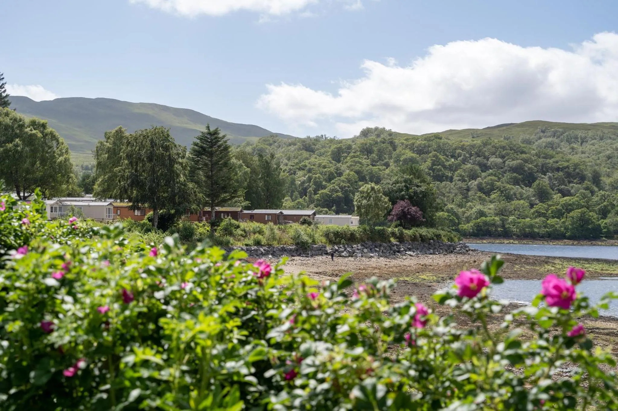 View (from property/room) in Linnhe Lochside Holidays