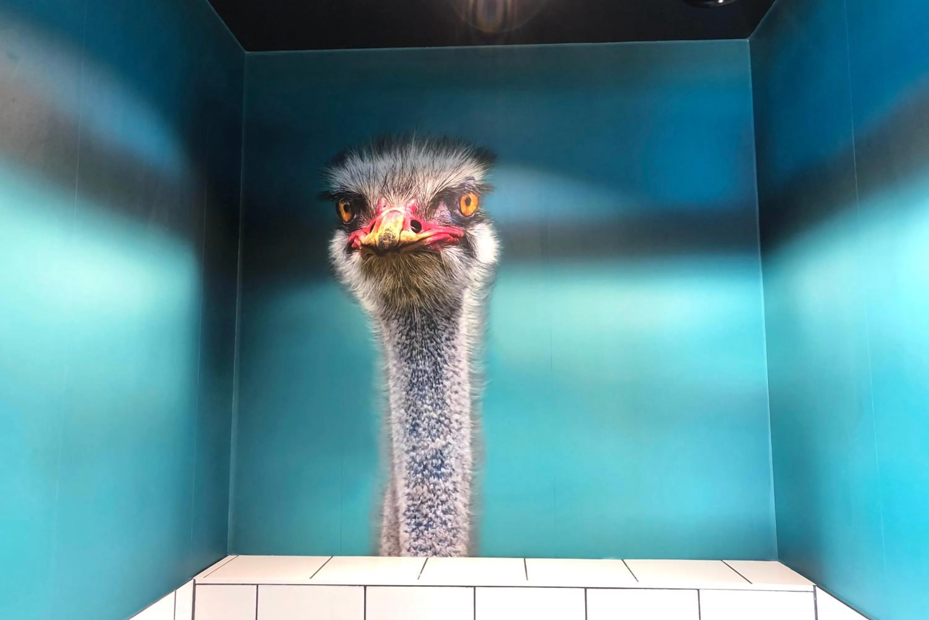 Best Western Malmo Arena Hotel