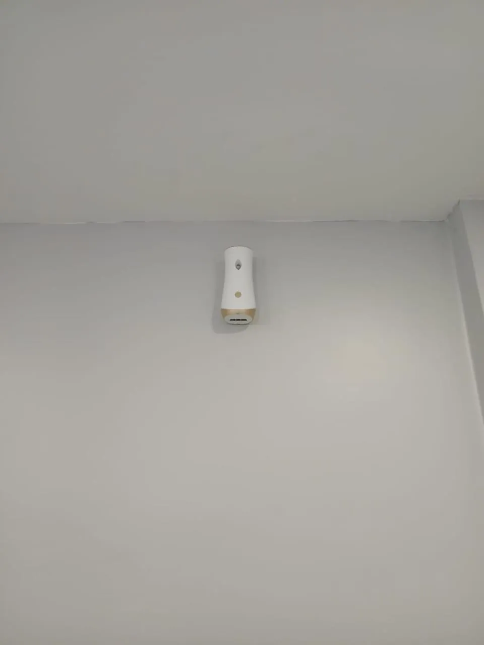 Property building in SS Grey House