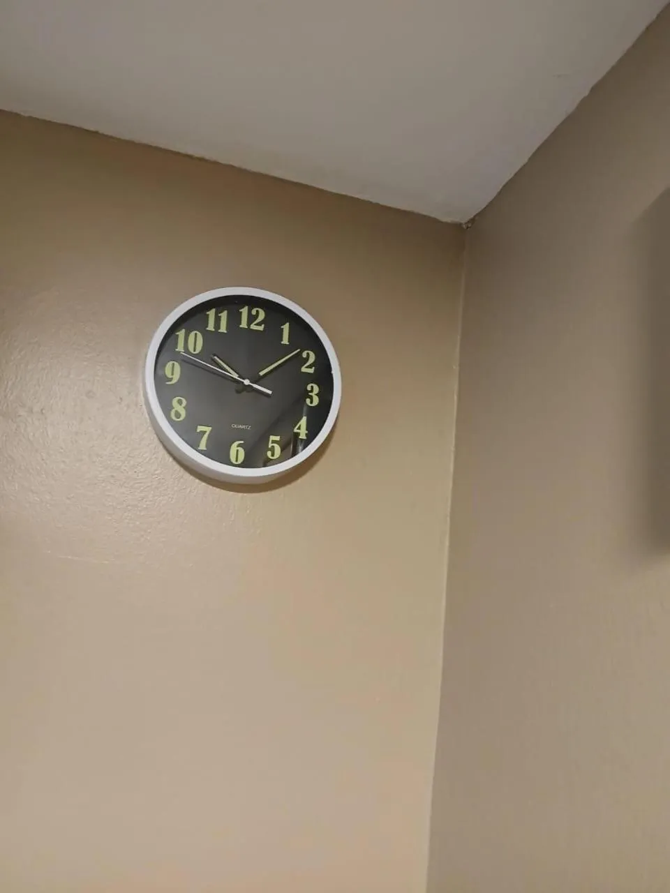 Property building in SS Grey House