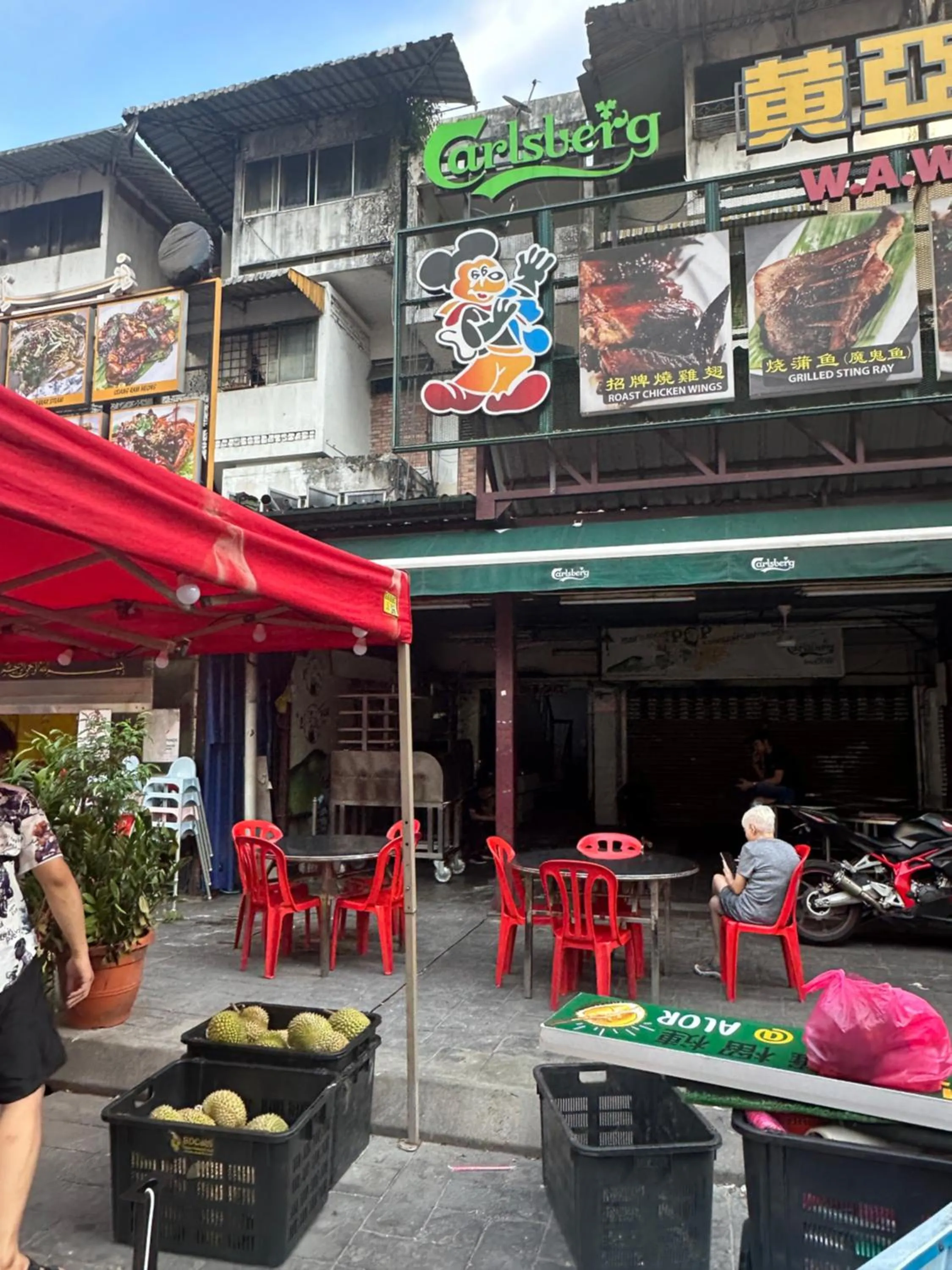 Property building in SS Grey House