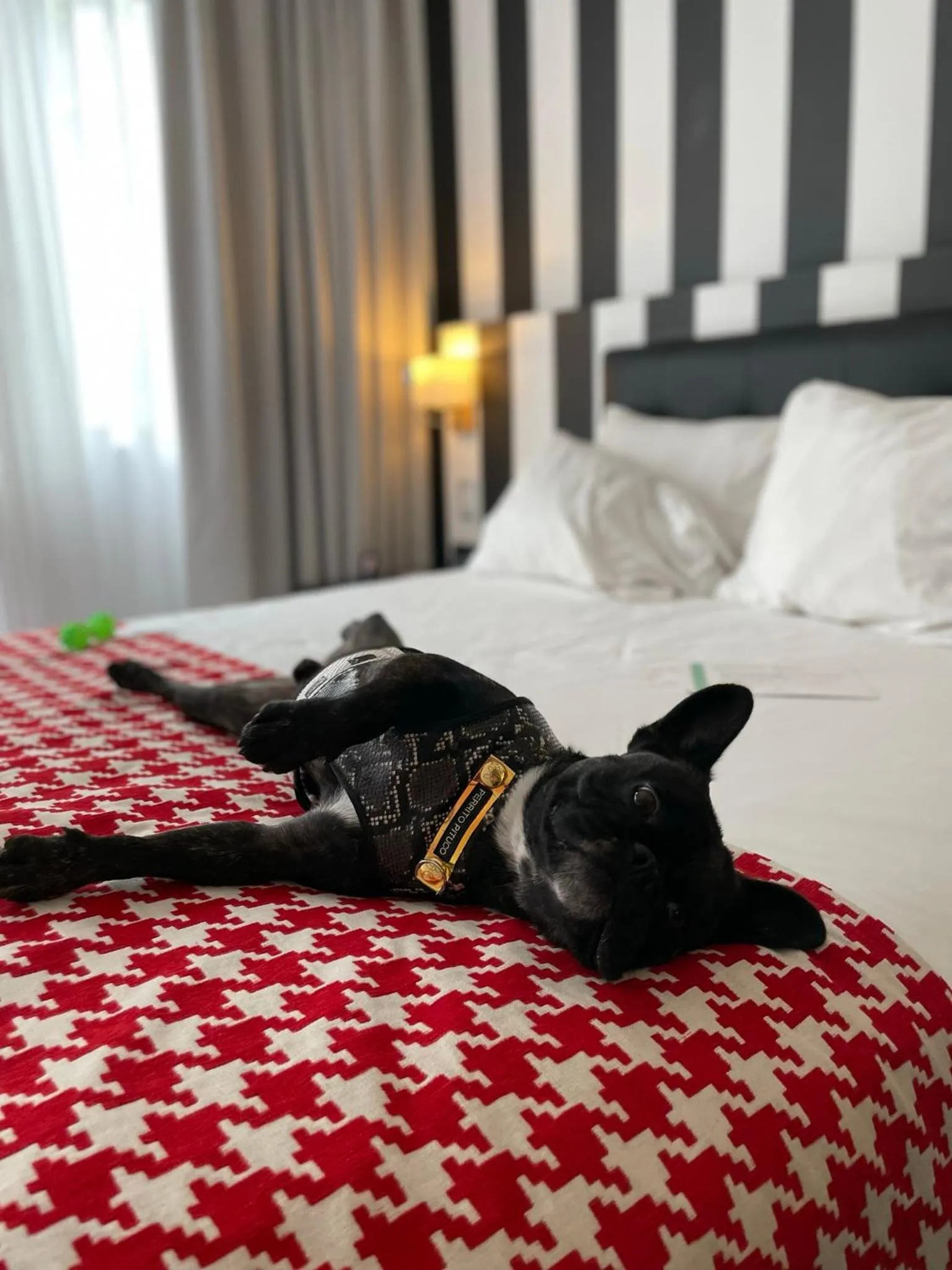 Bedroom, Bed in Wyndham Costa del Sol Lima City