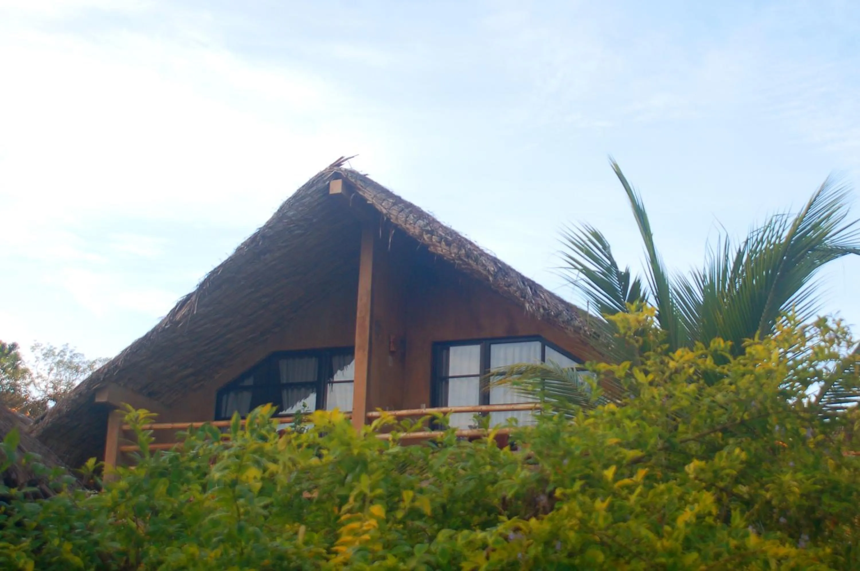 AXKAN PALENQUE, ALBERCAS, GASTRONOMIA MAR y TIERRA & TRAVEL AGENCY