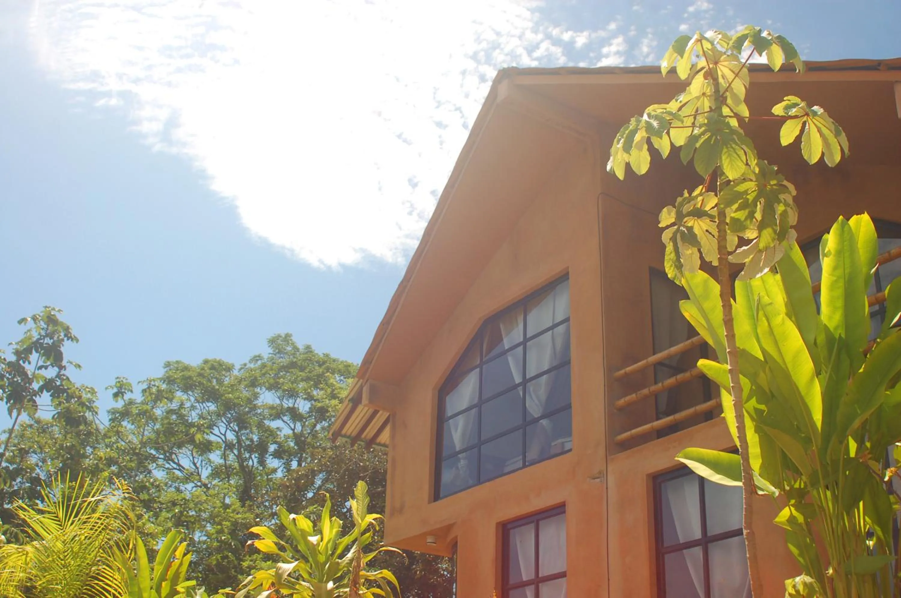 AXKAN PALENQUE, ALBERCAS, GASTRONOMIA MAR y TIERRA & TRAVEL AGENCY