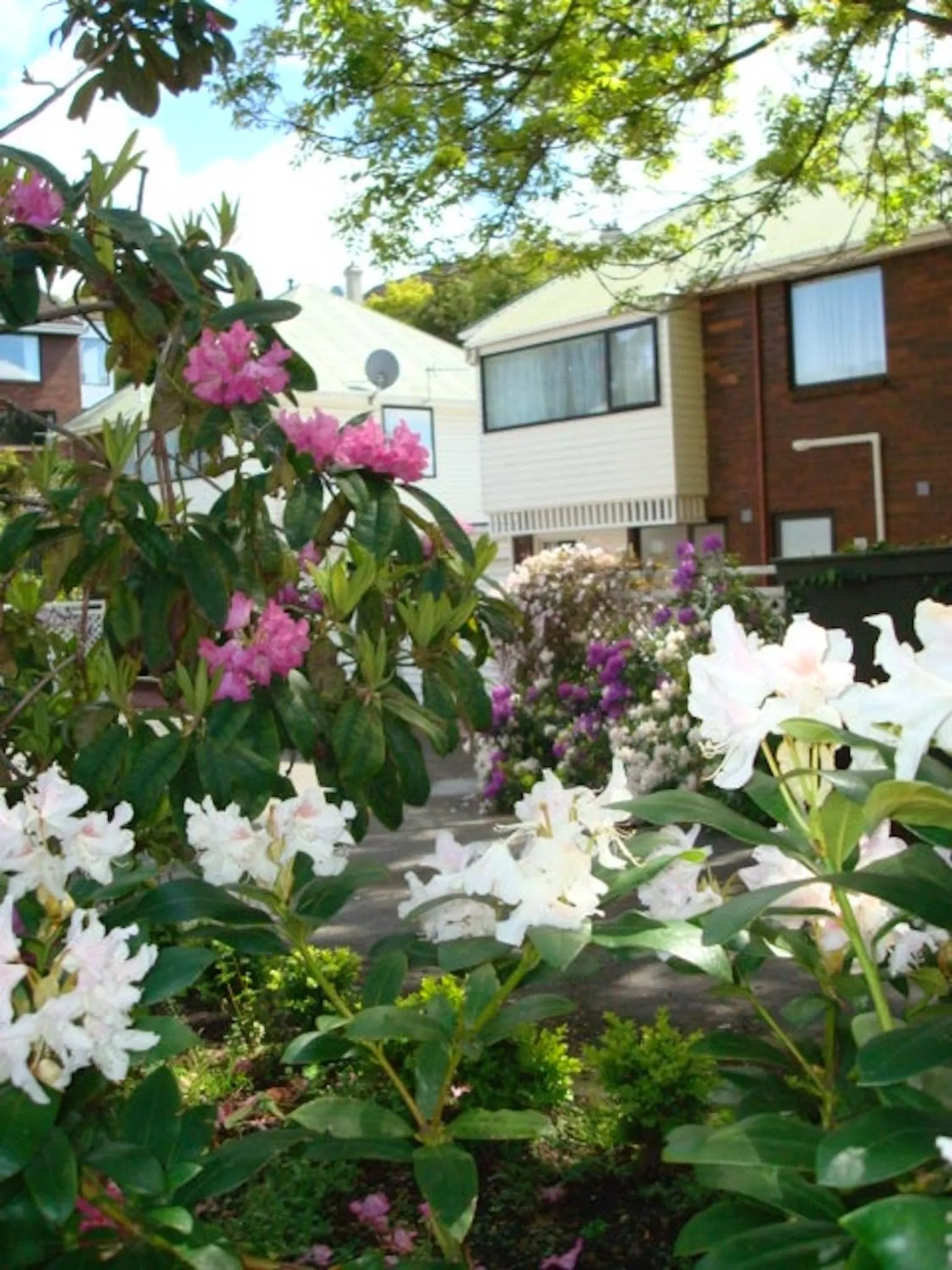 Garden view in Heriot Lane City Apartments