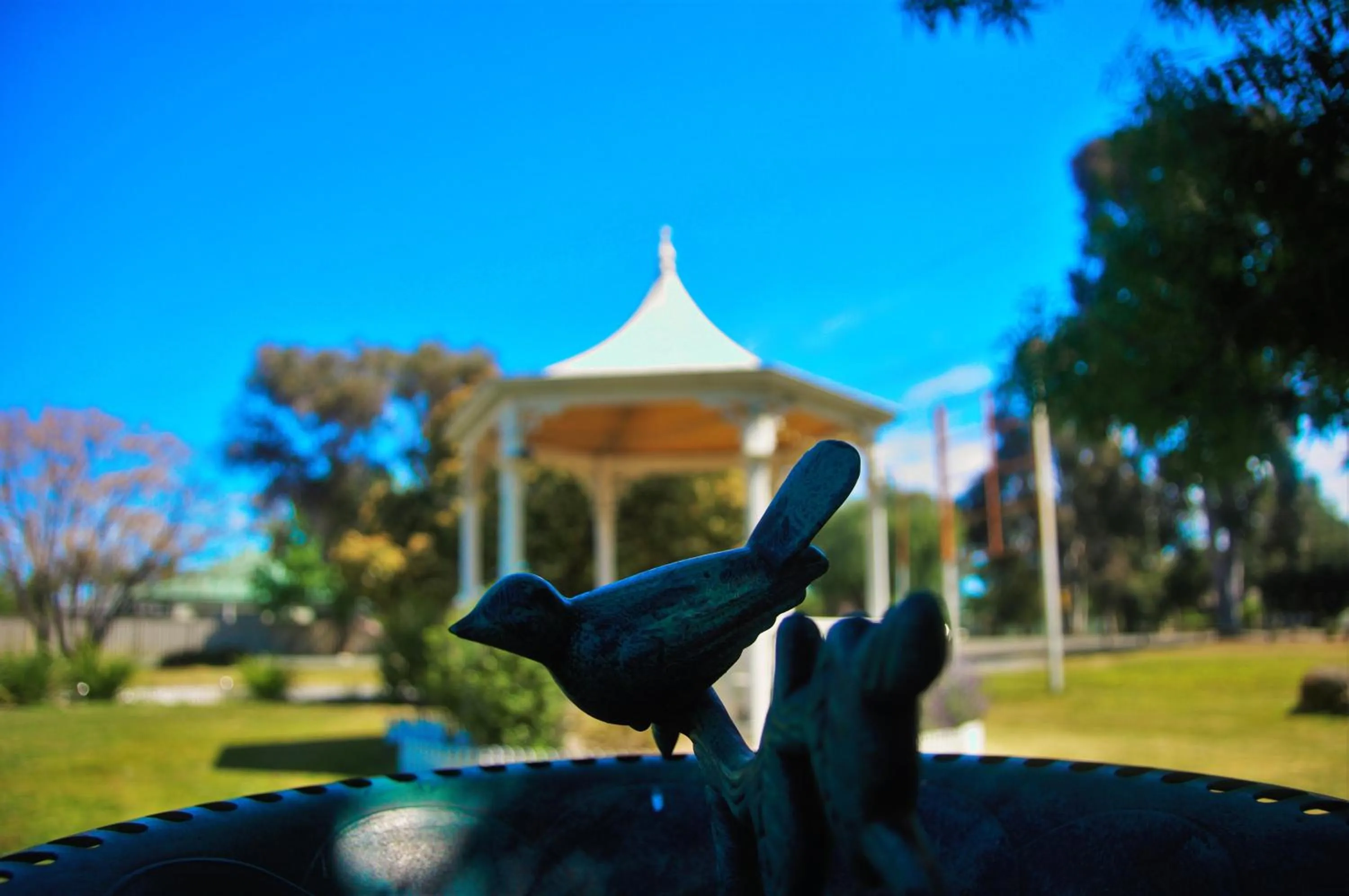 Animals in Gazebo Motor Inn - Strathmerton