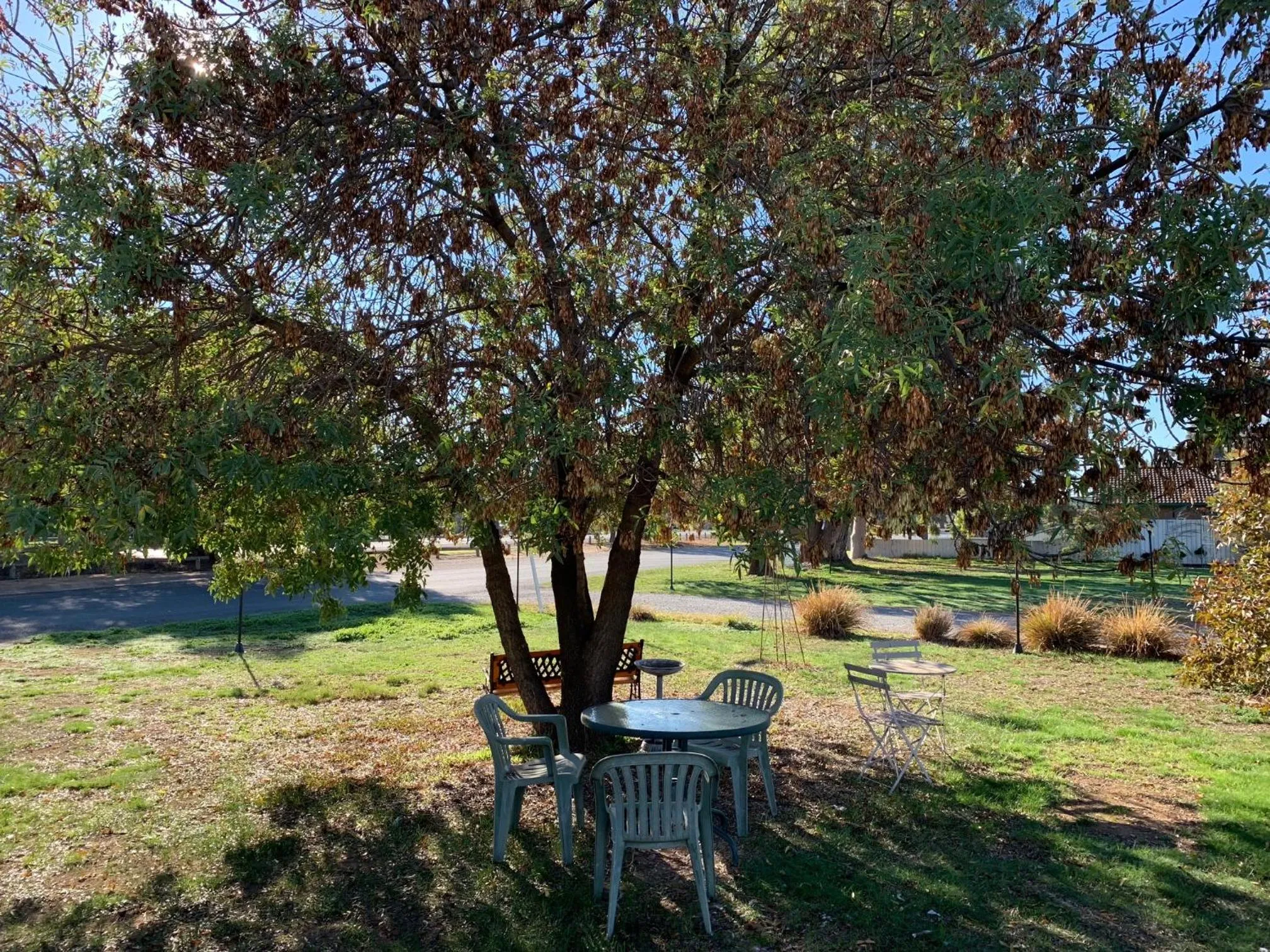 Garden in Gazebo Motor Inn - Strathmerton