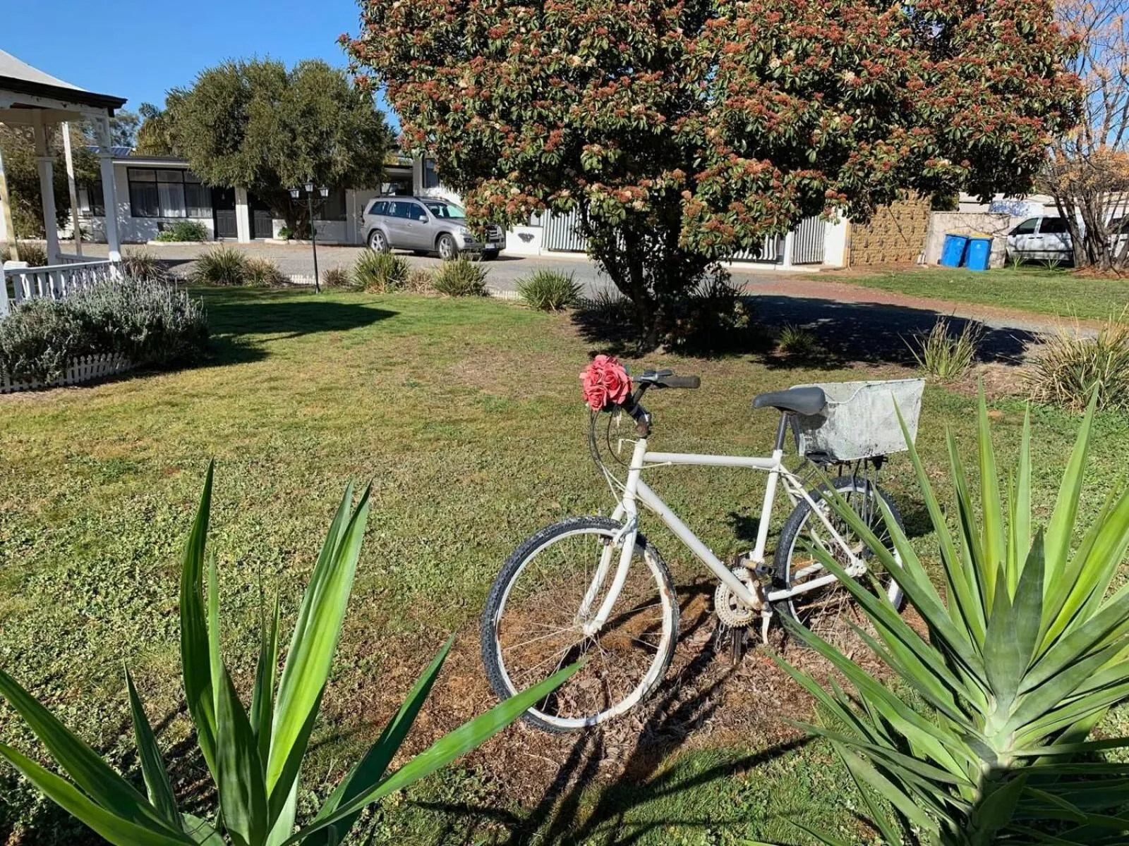 Garden view in Gazebo Motor Inn - Strathmerton
