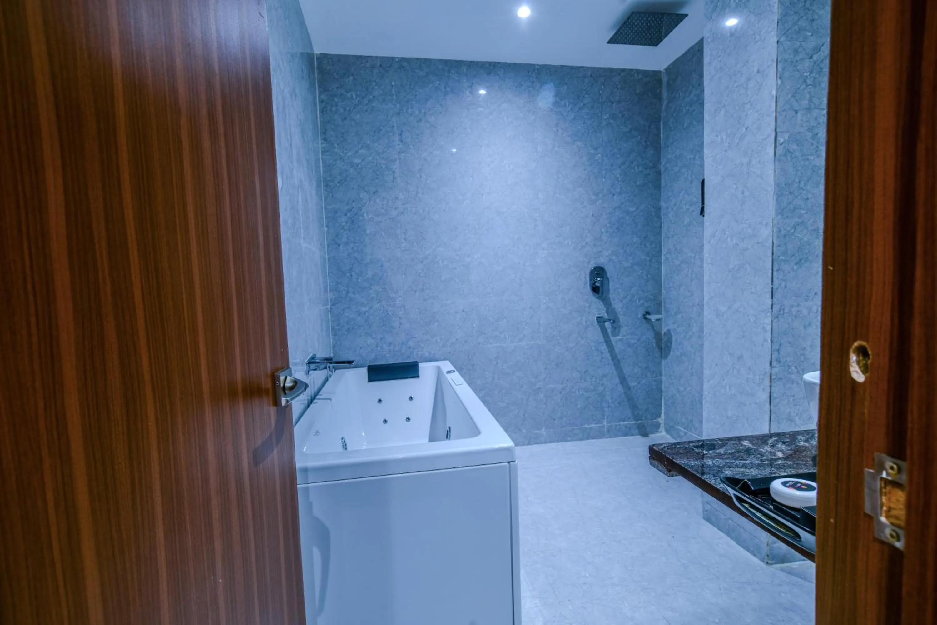 Aceotel Premier, Vijay Nagar