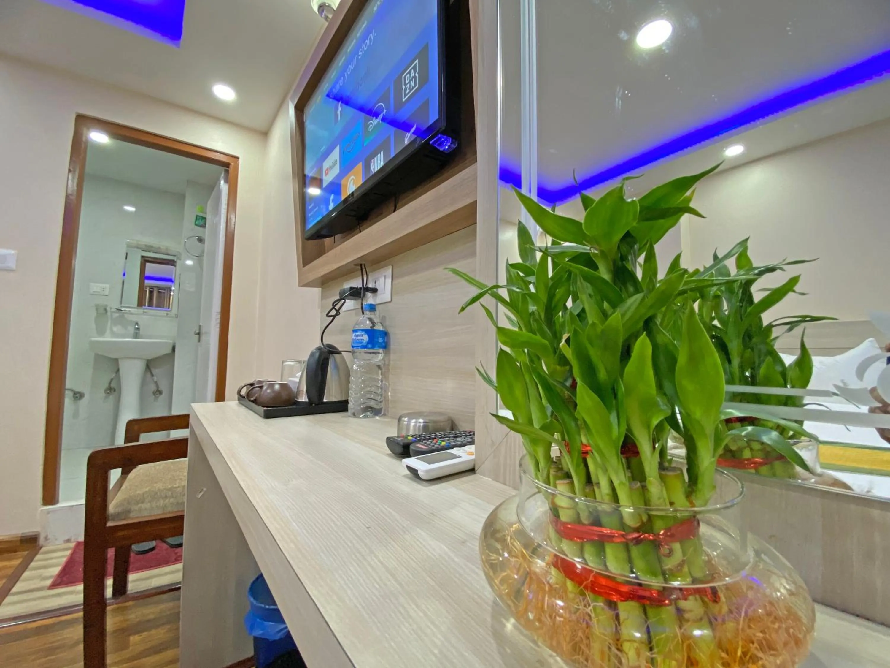 TV and multimedia in Hotel Aaradhya