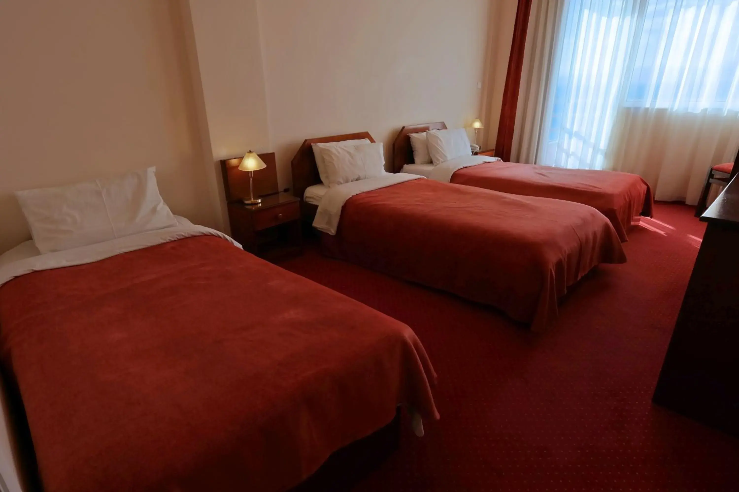 Triple Room with City View in Hotel Excelsior Triple Room with City View in Hotel Excelsior