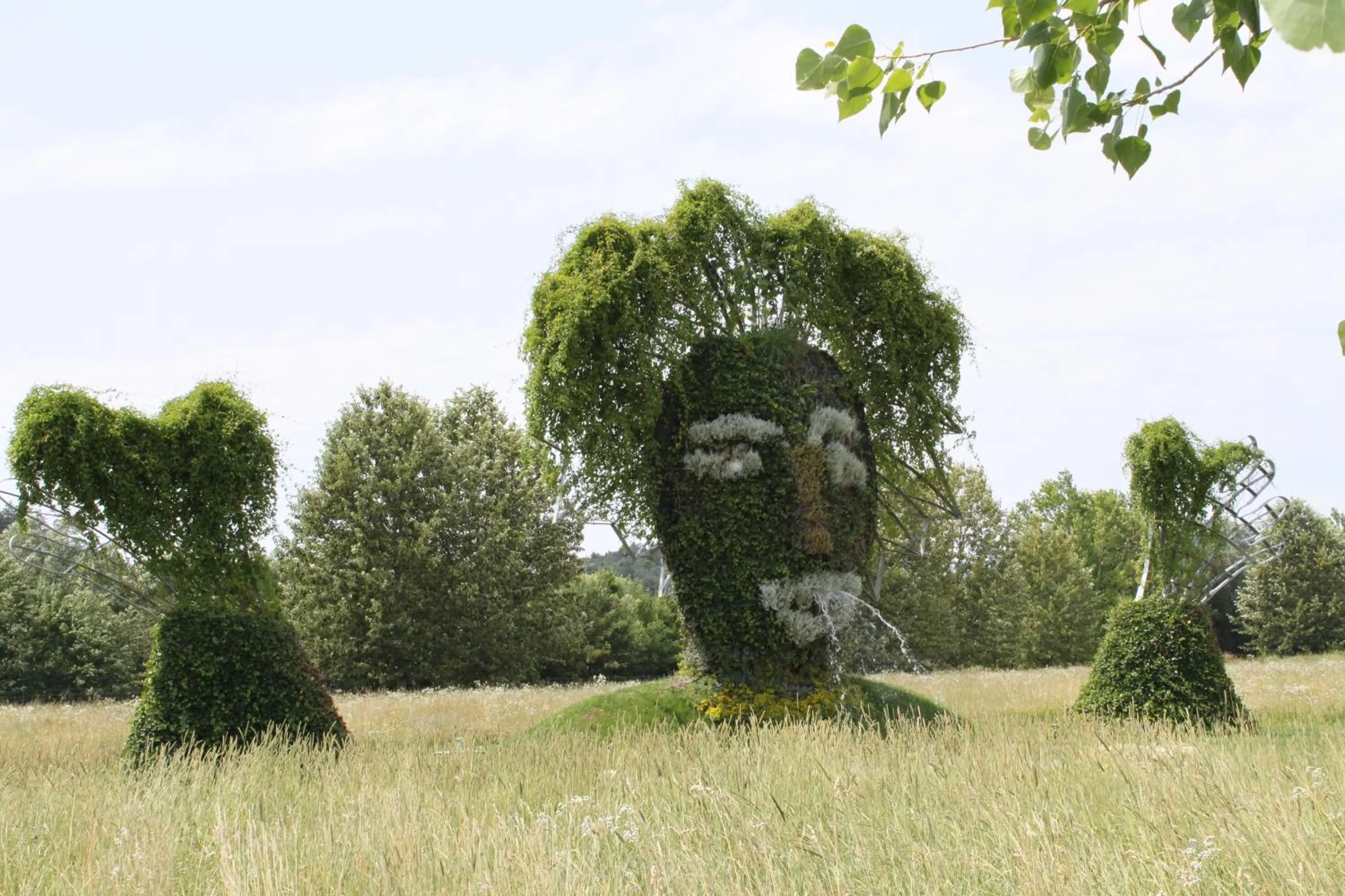 Area and facilities in Hotel Garni Thermenoase