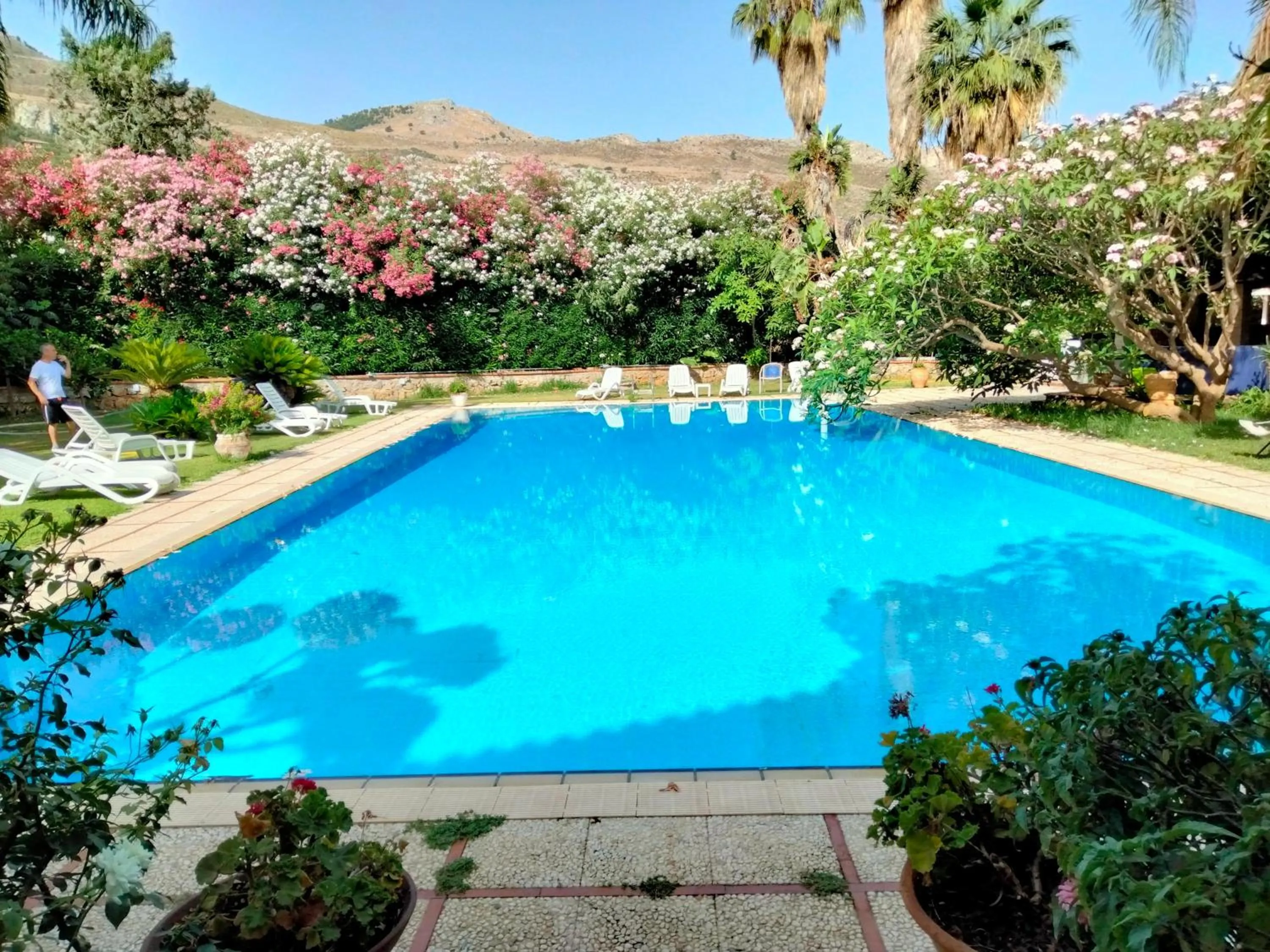 Garden in Villa Megna - Green Paradise B&B