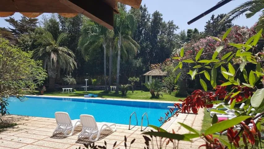 Garden in Villa Megna - Green Paradise B&B