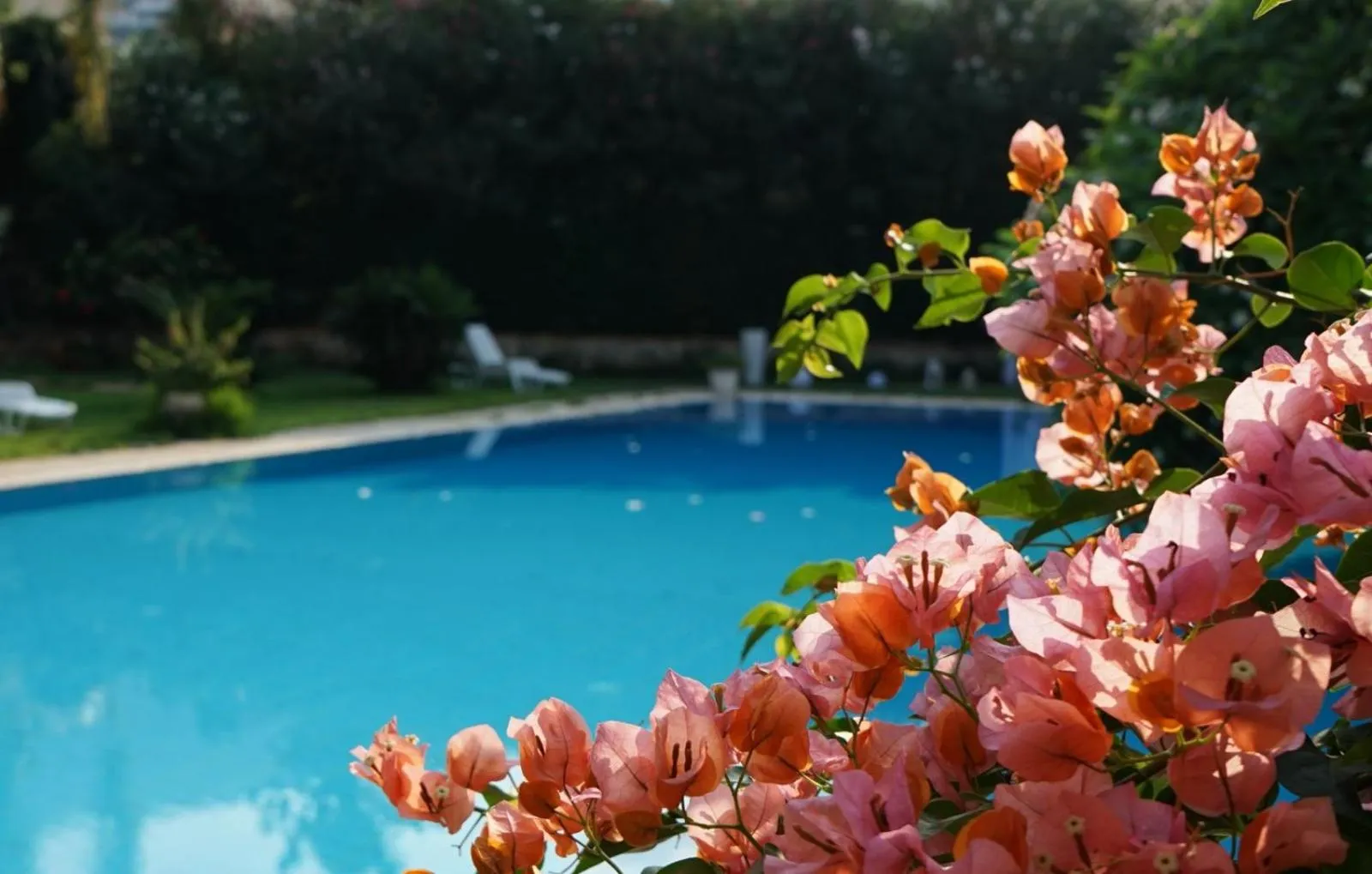 Swimming pool in Villa Megna - Green Paradise B&B