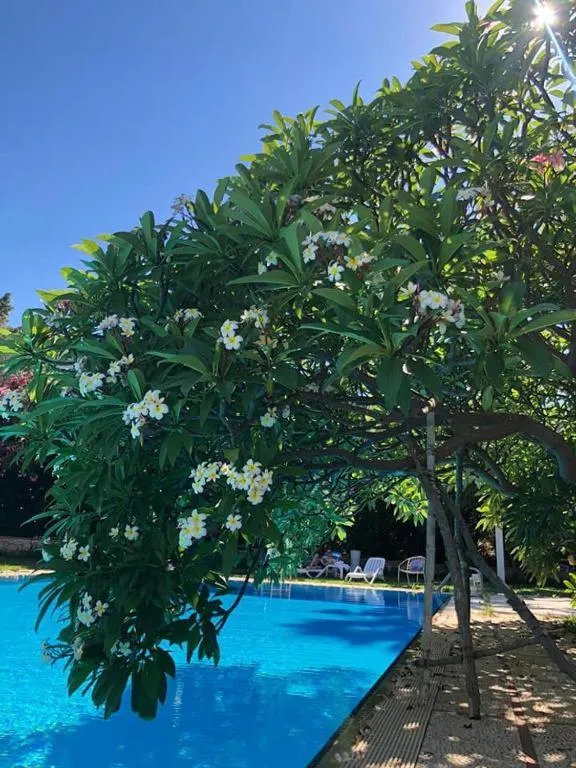 Garden in Villa Megna - Green Paradise B&B