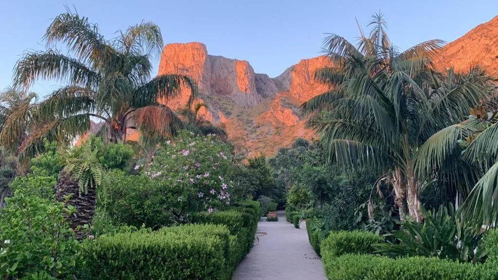 Garden view in Villa Megna - Green Paradise B&B