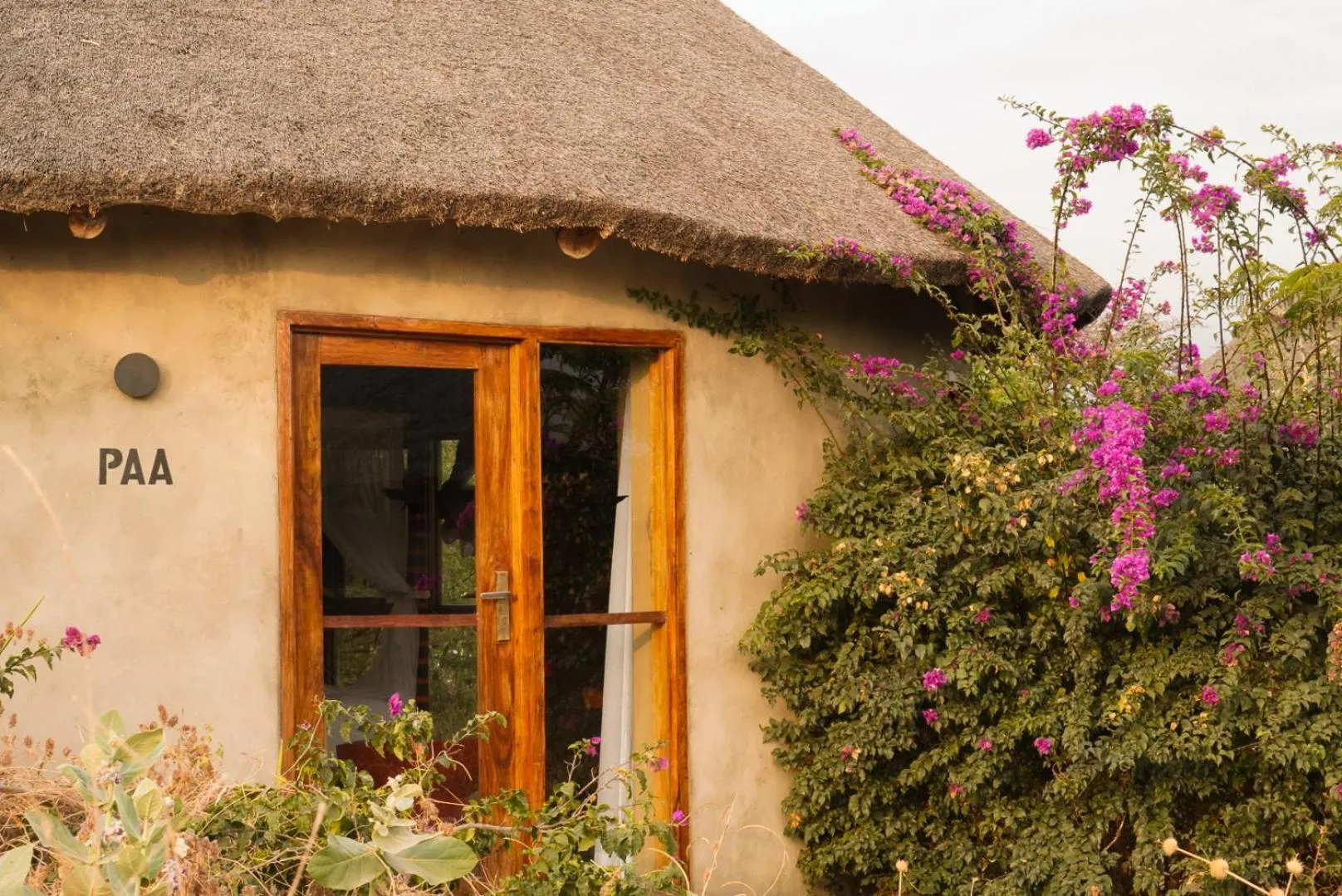 Property building in Suricata Boma Lodge