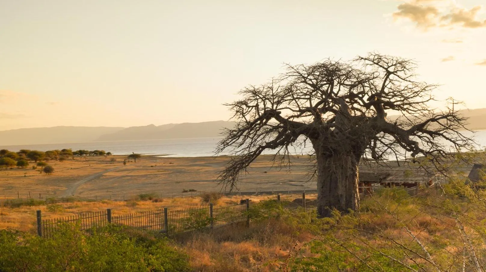Natural landscape in Suricata Boma Lodge