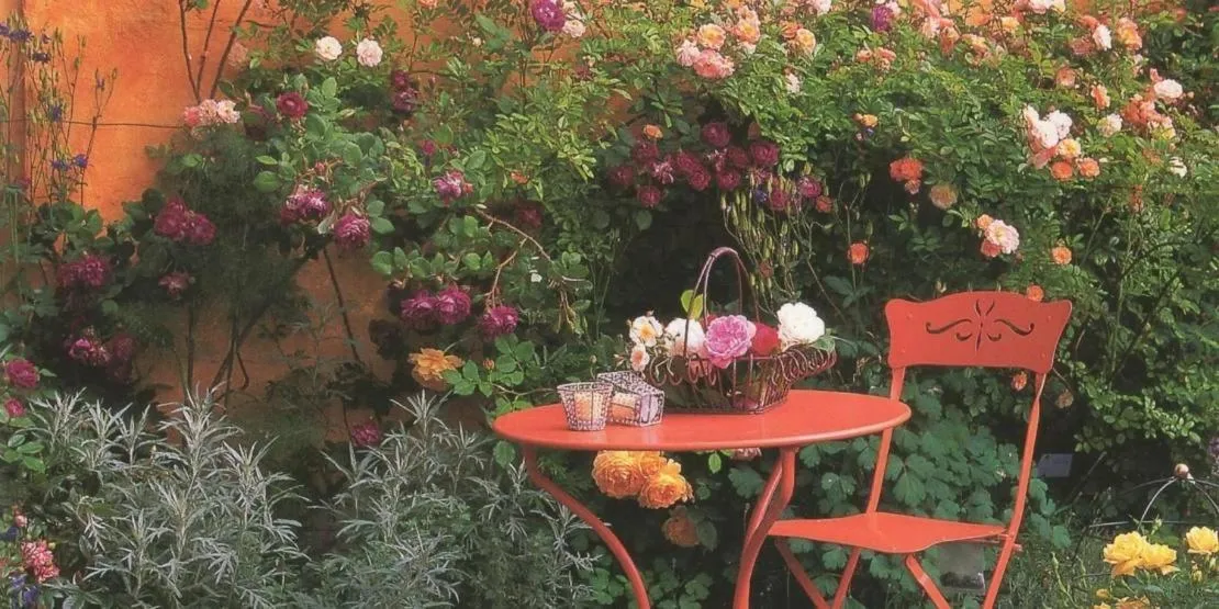 Garden view in Hotel Mina