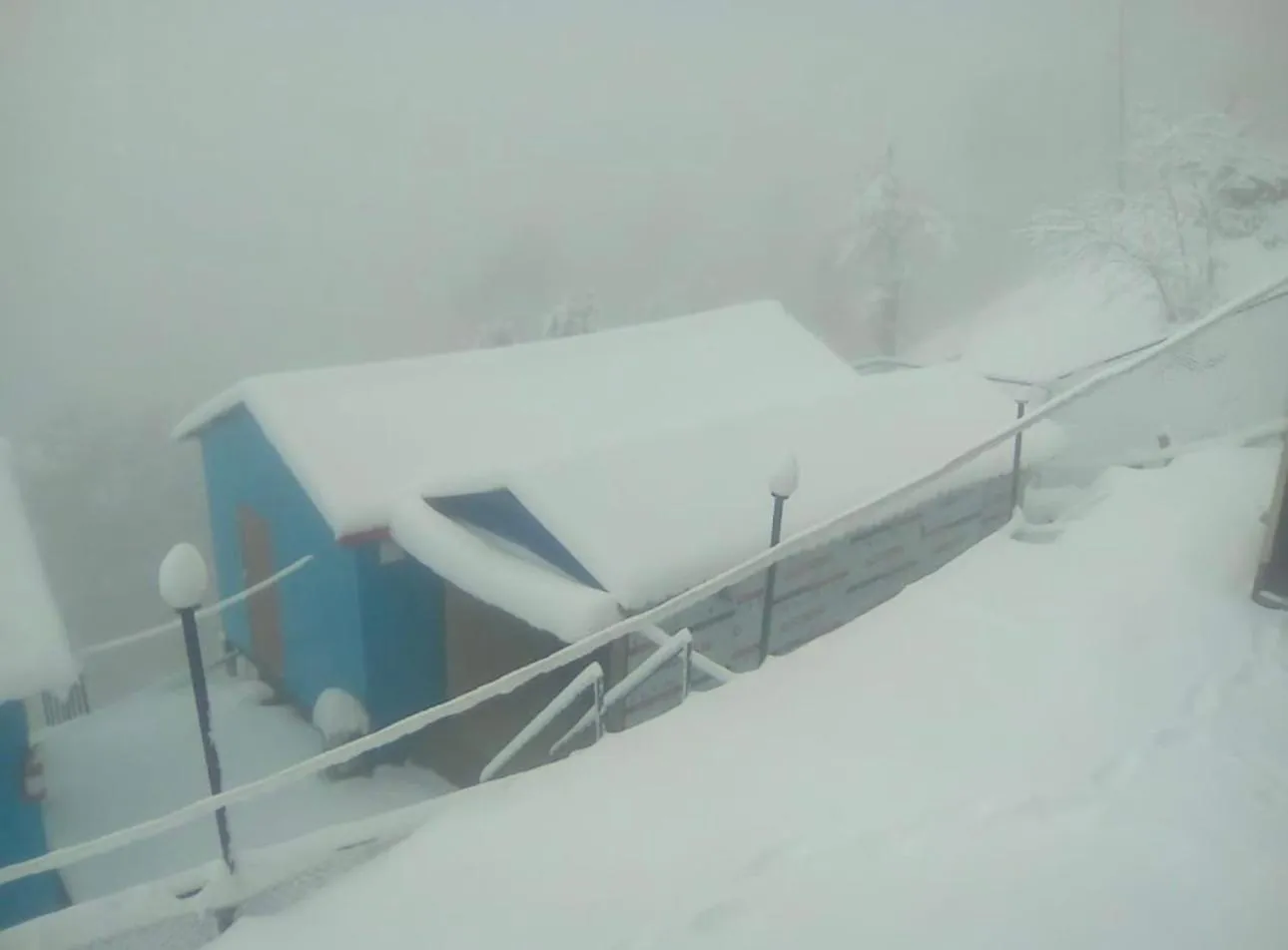 Property building in The Green Valley Resort Kanatal