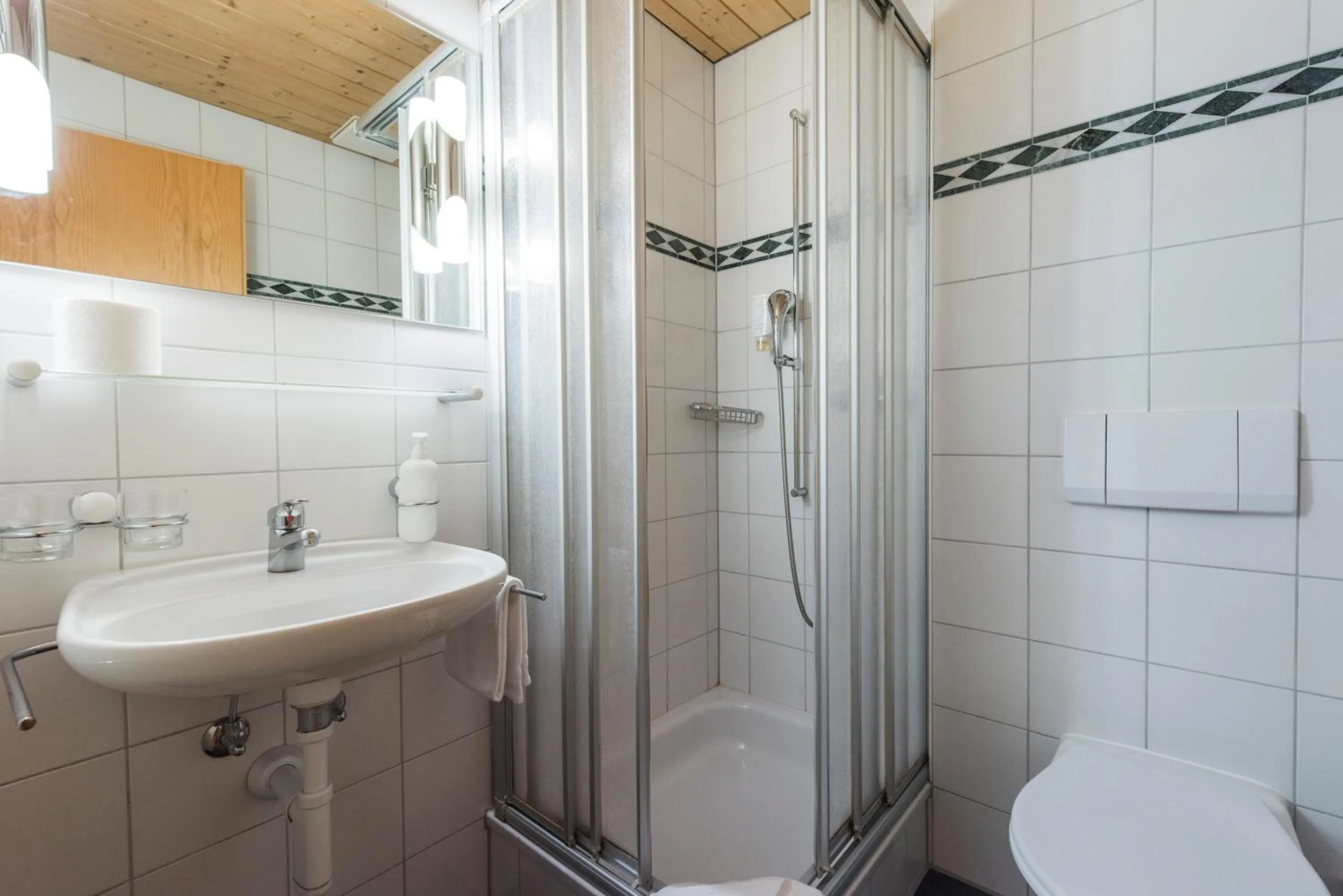 Shower in Hotel Alpenrose beim Ballenberg