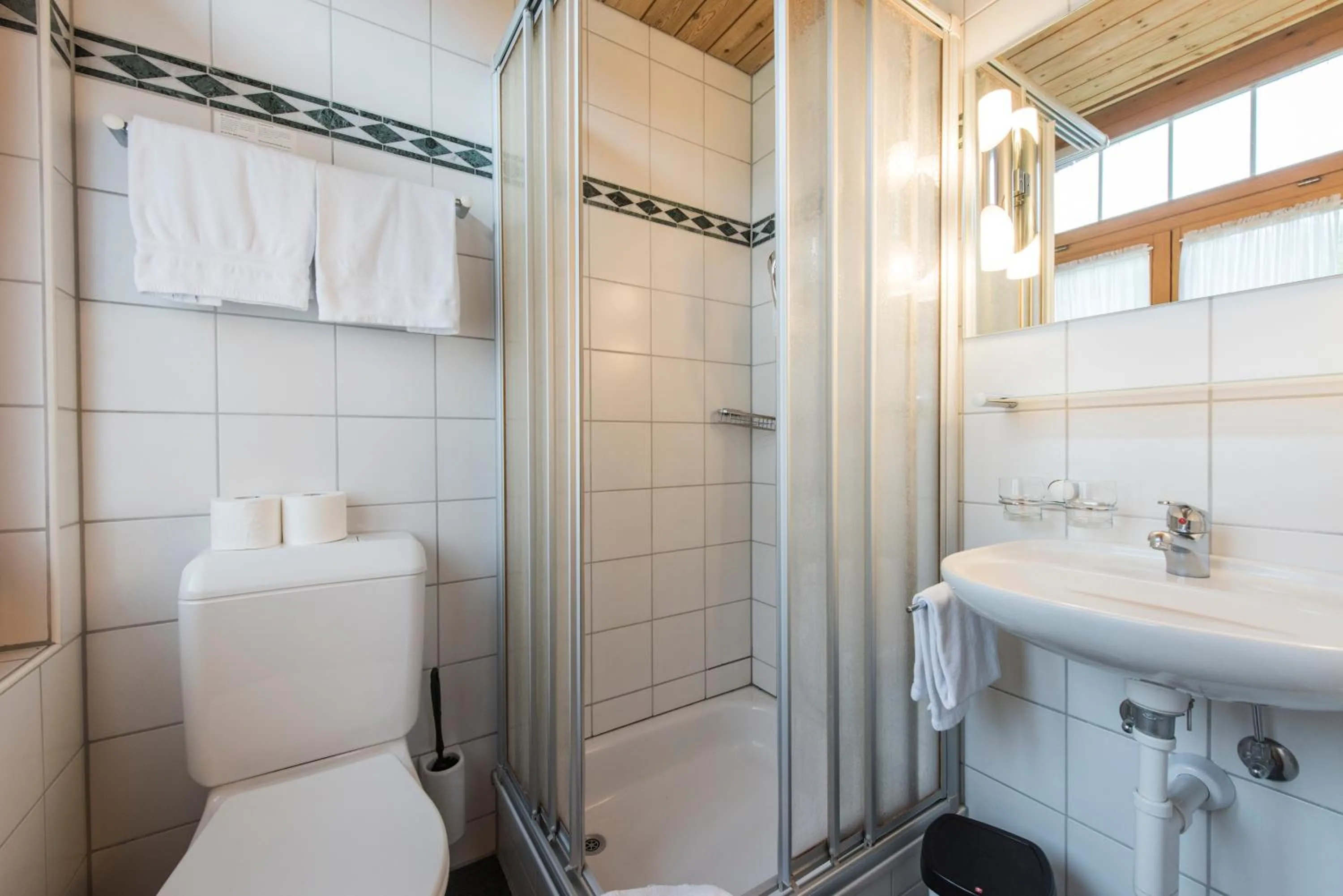 Shower in Hotel Alpenrose beim Ballenberg