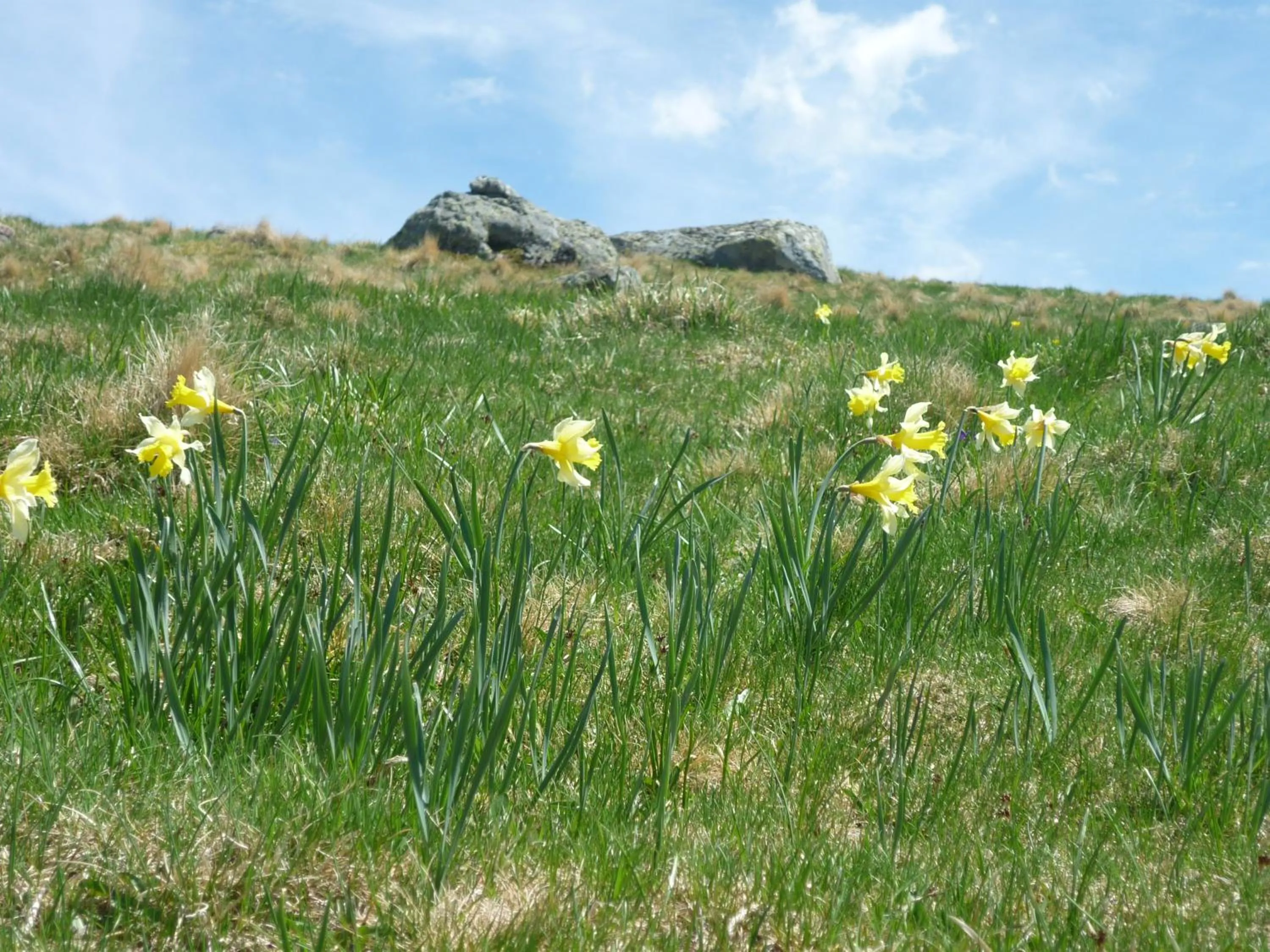 Restaurant/places to eat in Auberge de l'Aspre