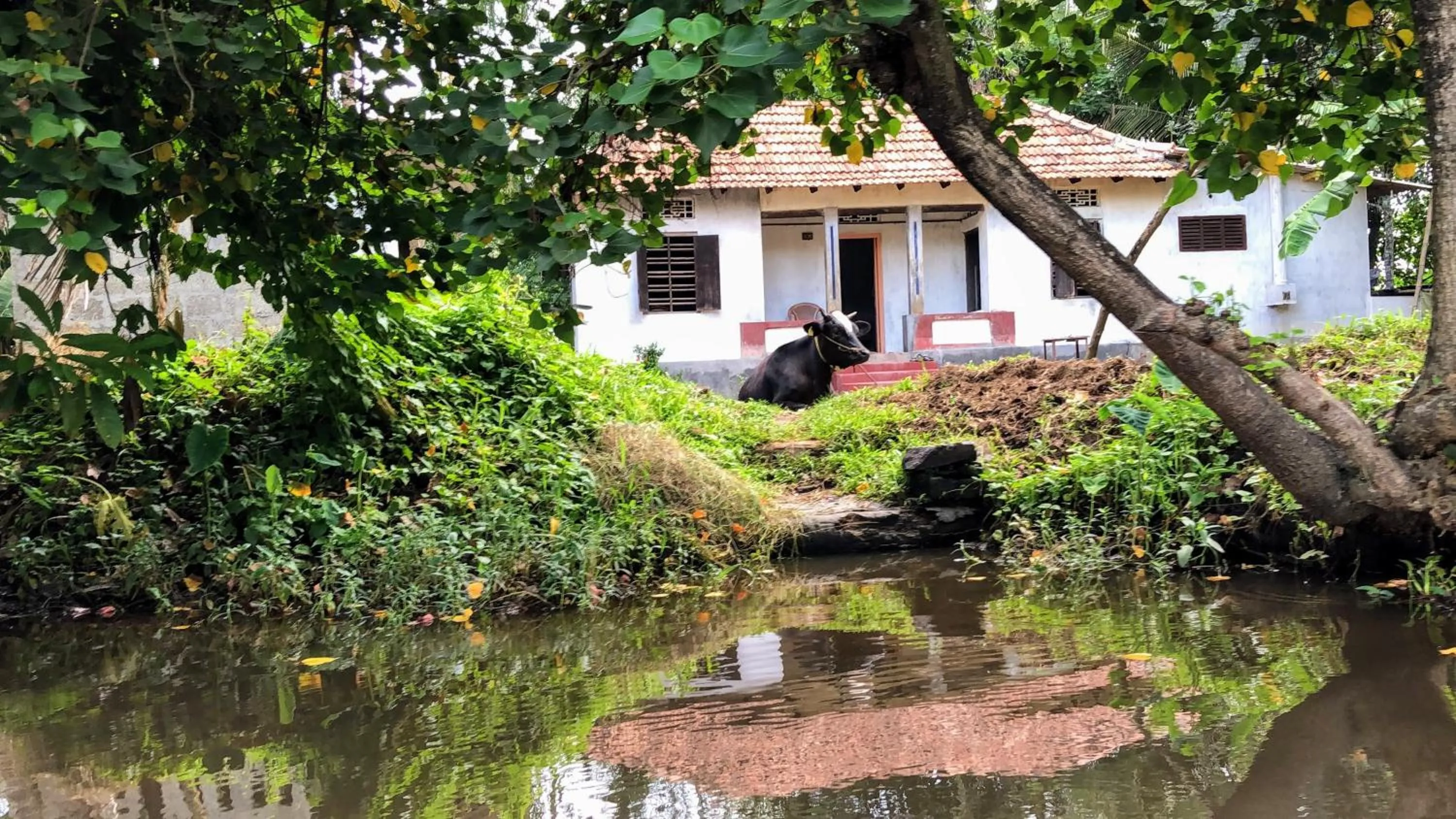 Other in Ayana's Homestay