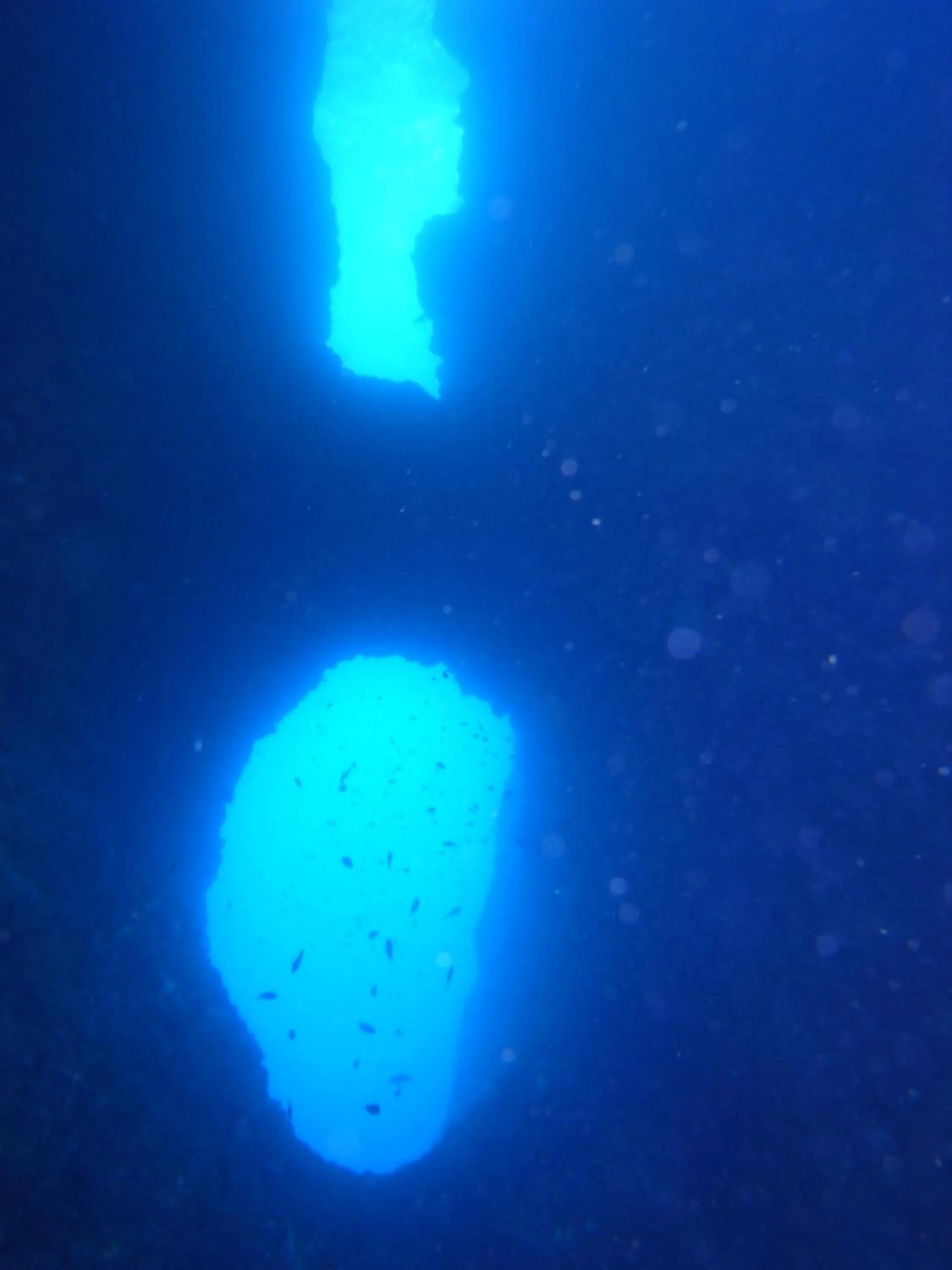 Diving in Marina del Cantone Chalet