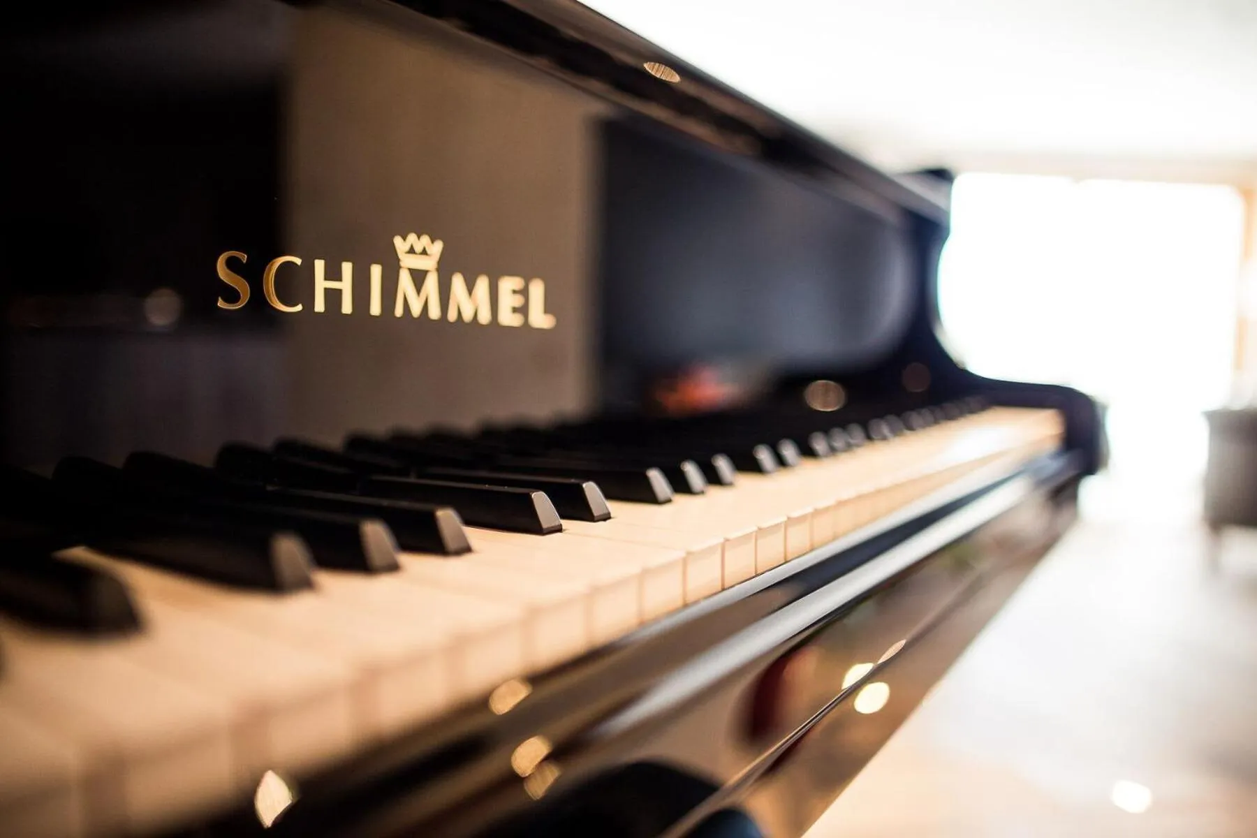 Decorative detail in Sonus Alpis - Adults Only