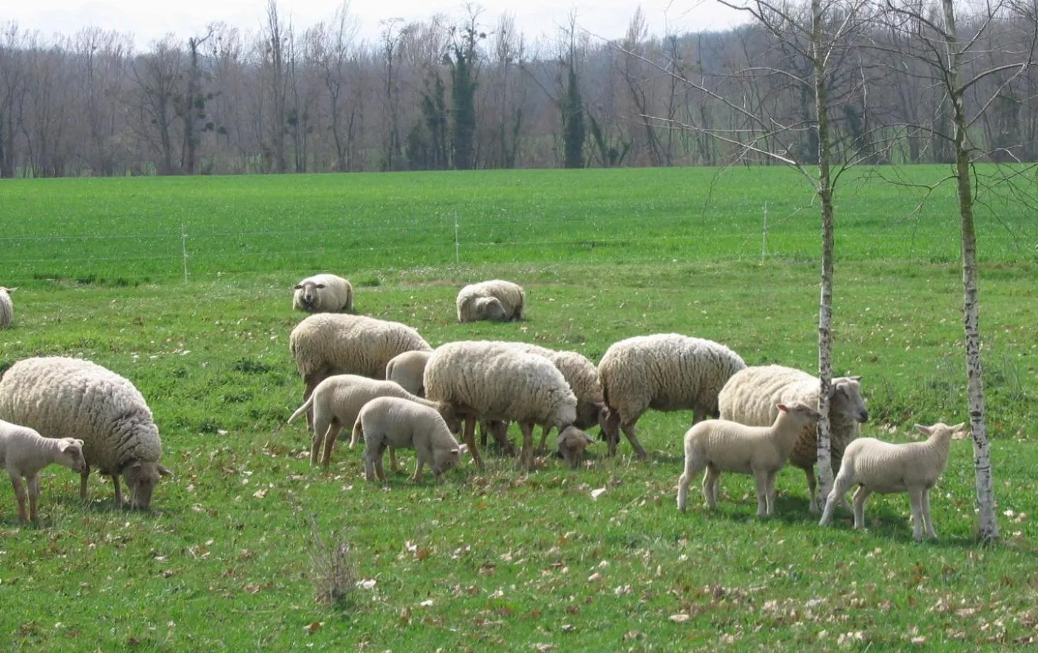 La Ferme Montplaisir