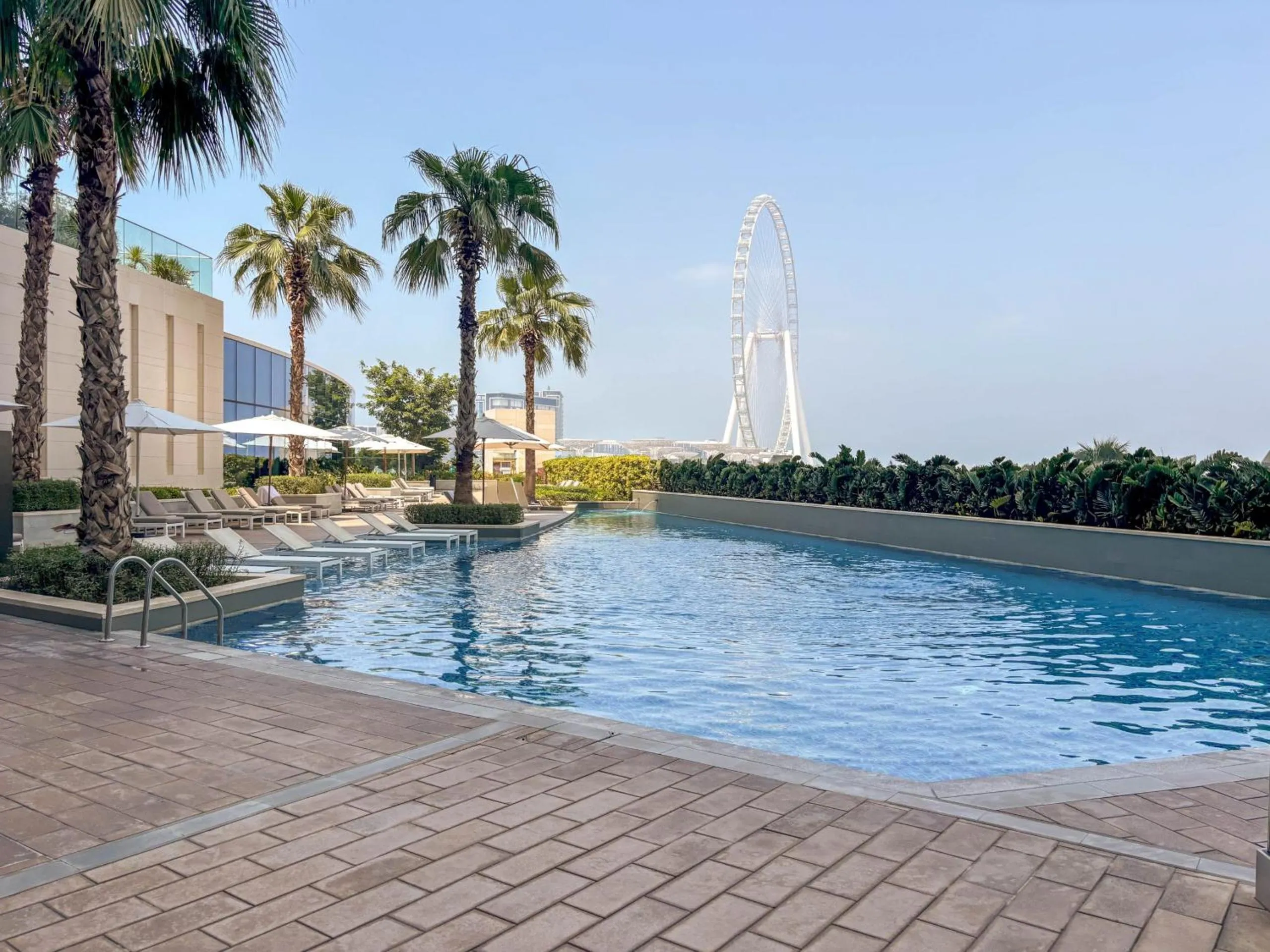 Other in Frank Porter - The Address JBR